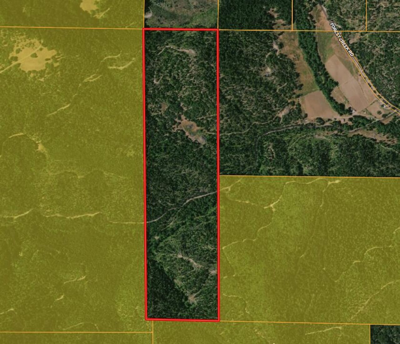 Listing Image 6