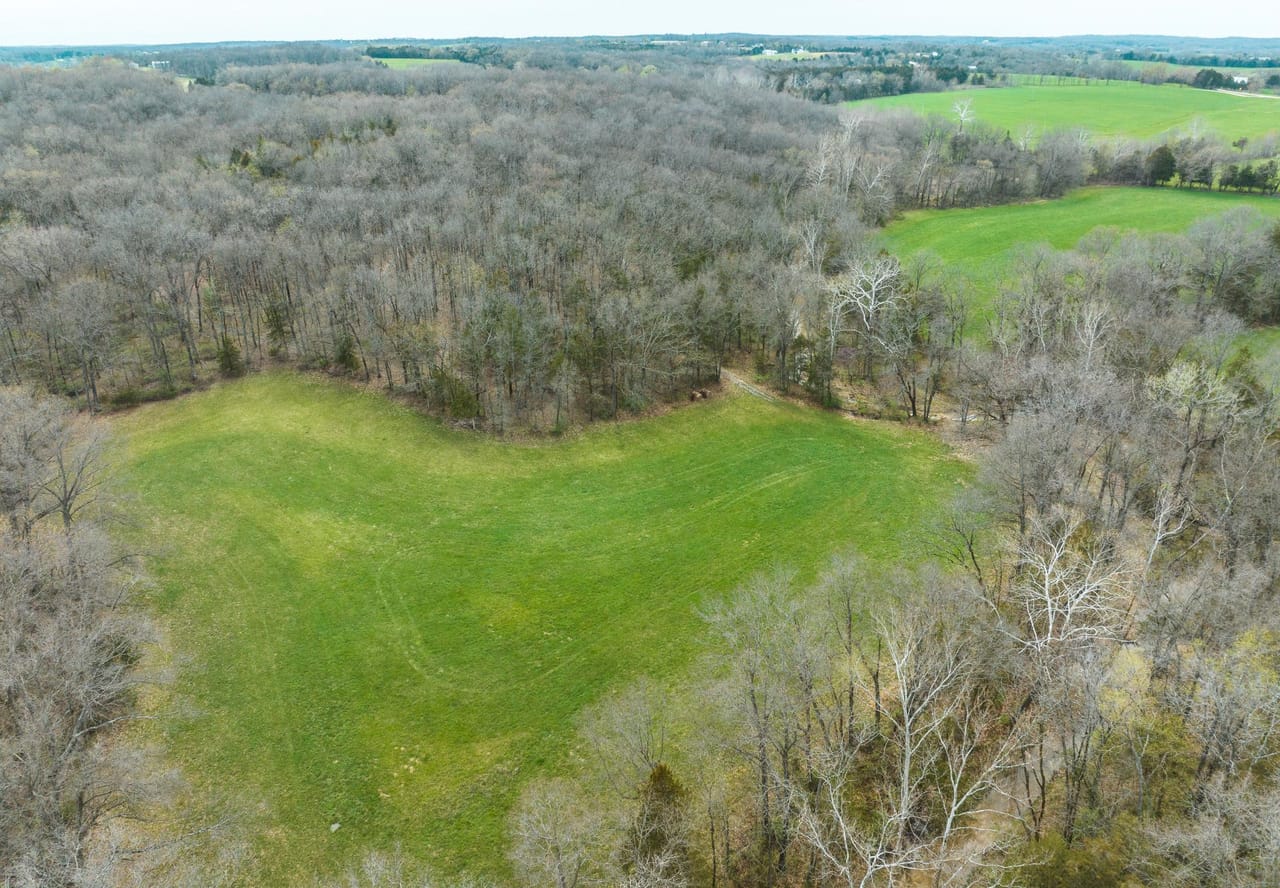 Listing Image 16