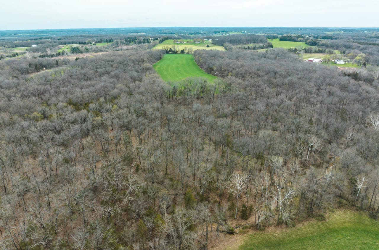 Listing Image 17
