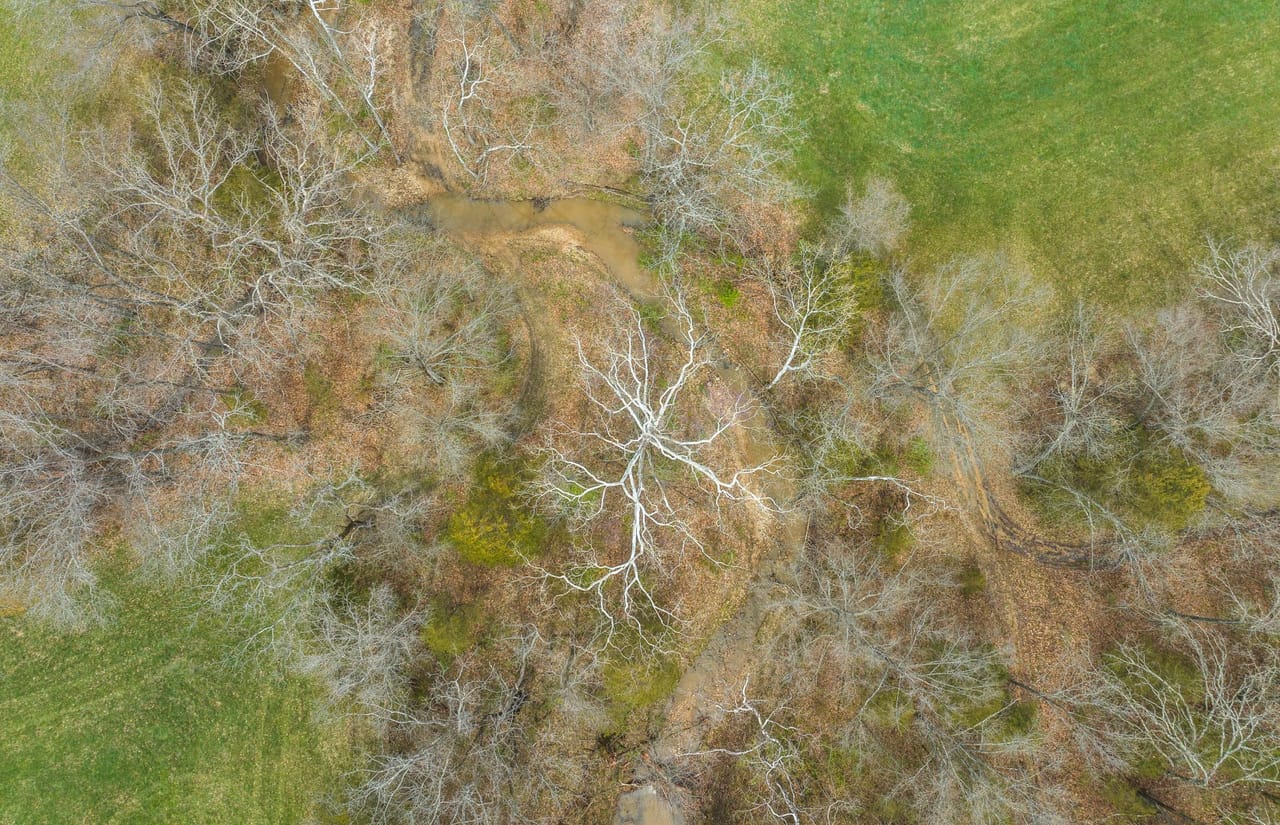 Listing Image 75