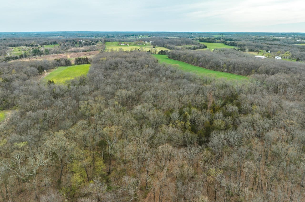 Listing Image 81
