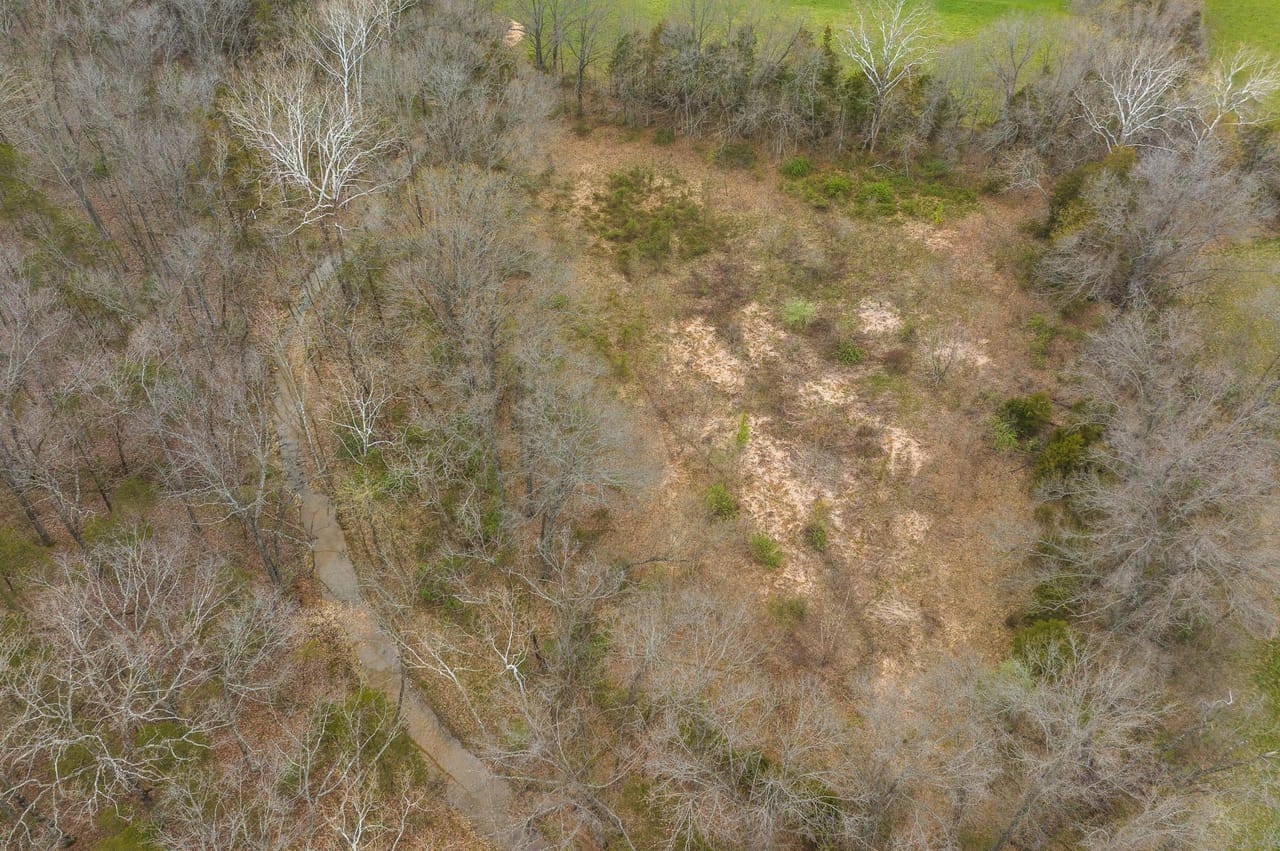 Listing Image 4