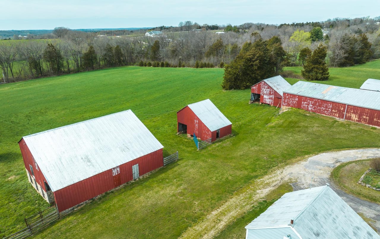 Listing Image 53