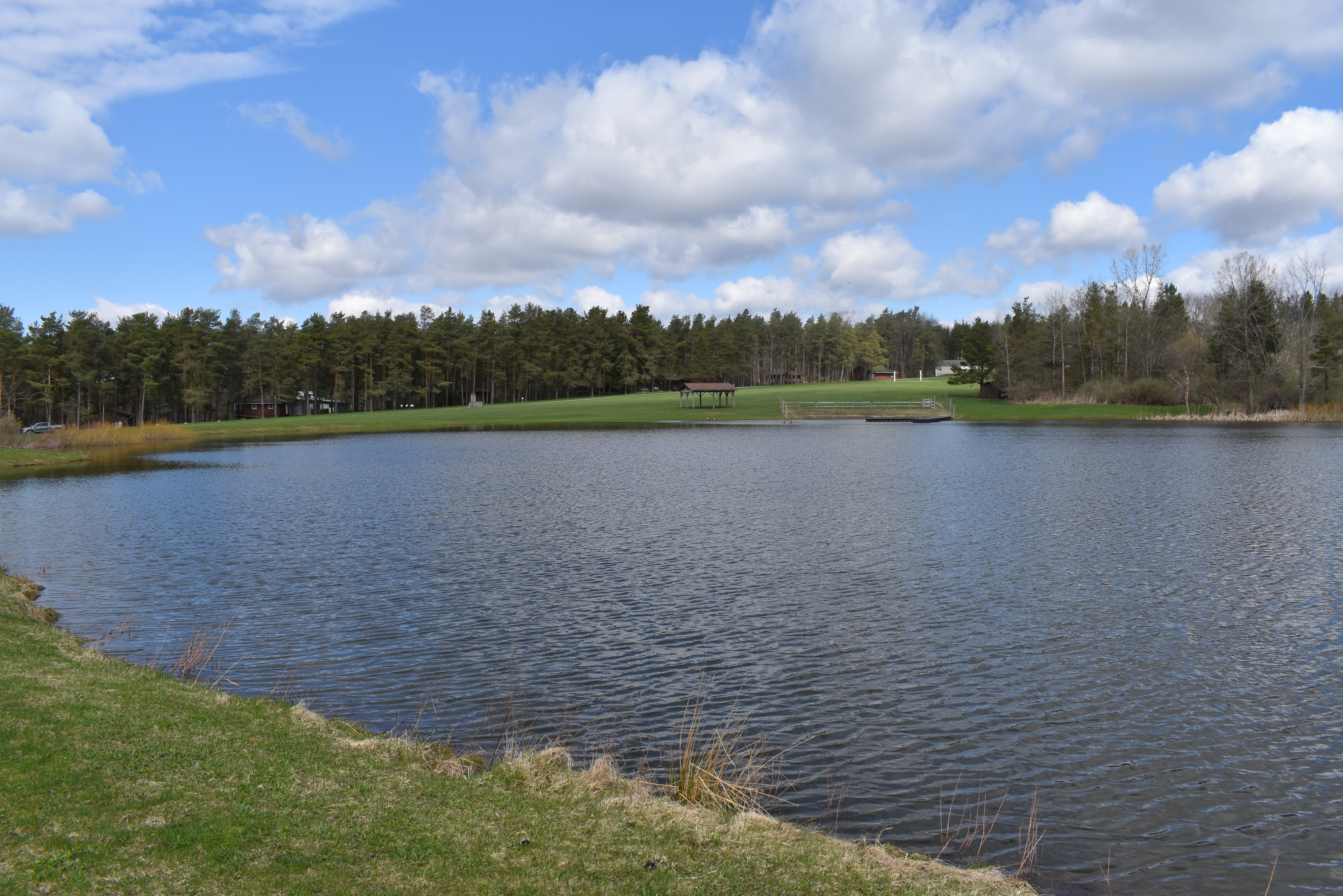 Listing Image 87