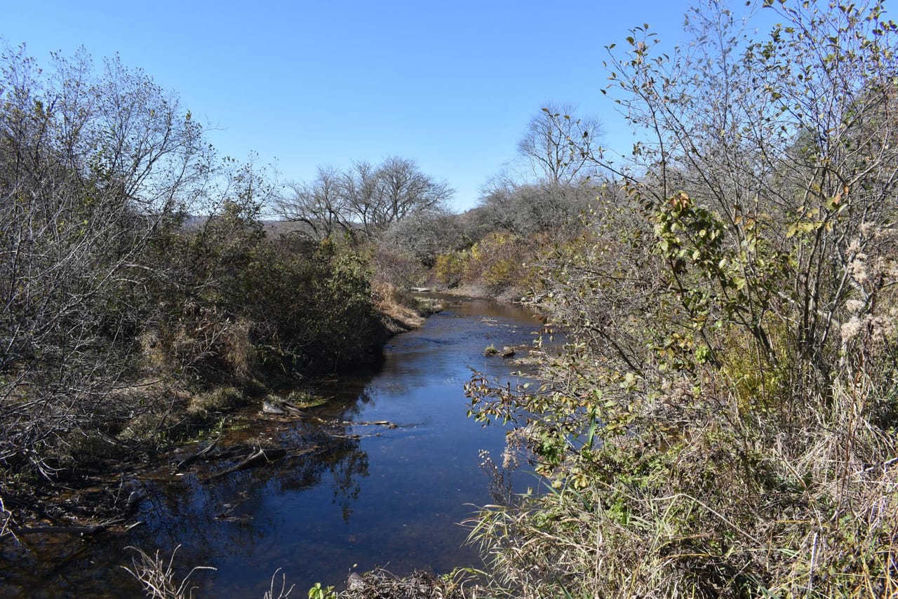 Honeoye Creek