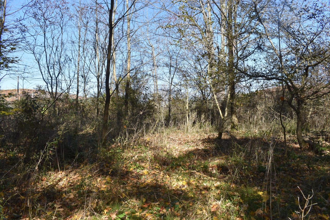 Honeoye Creek