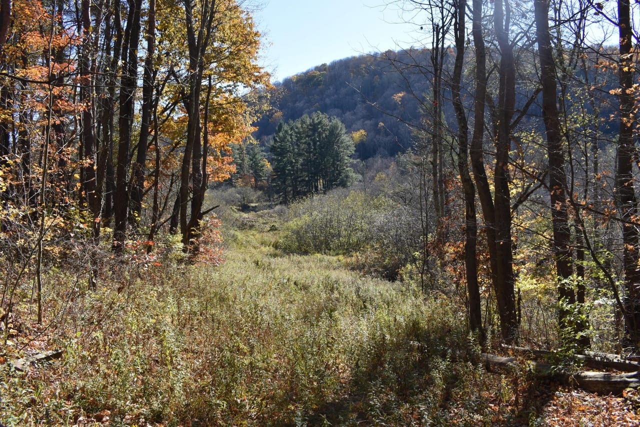 Honeoye Creek