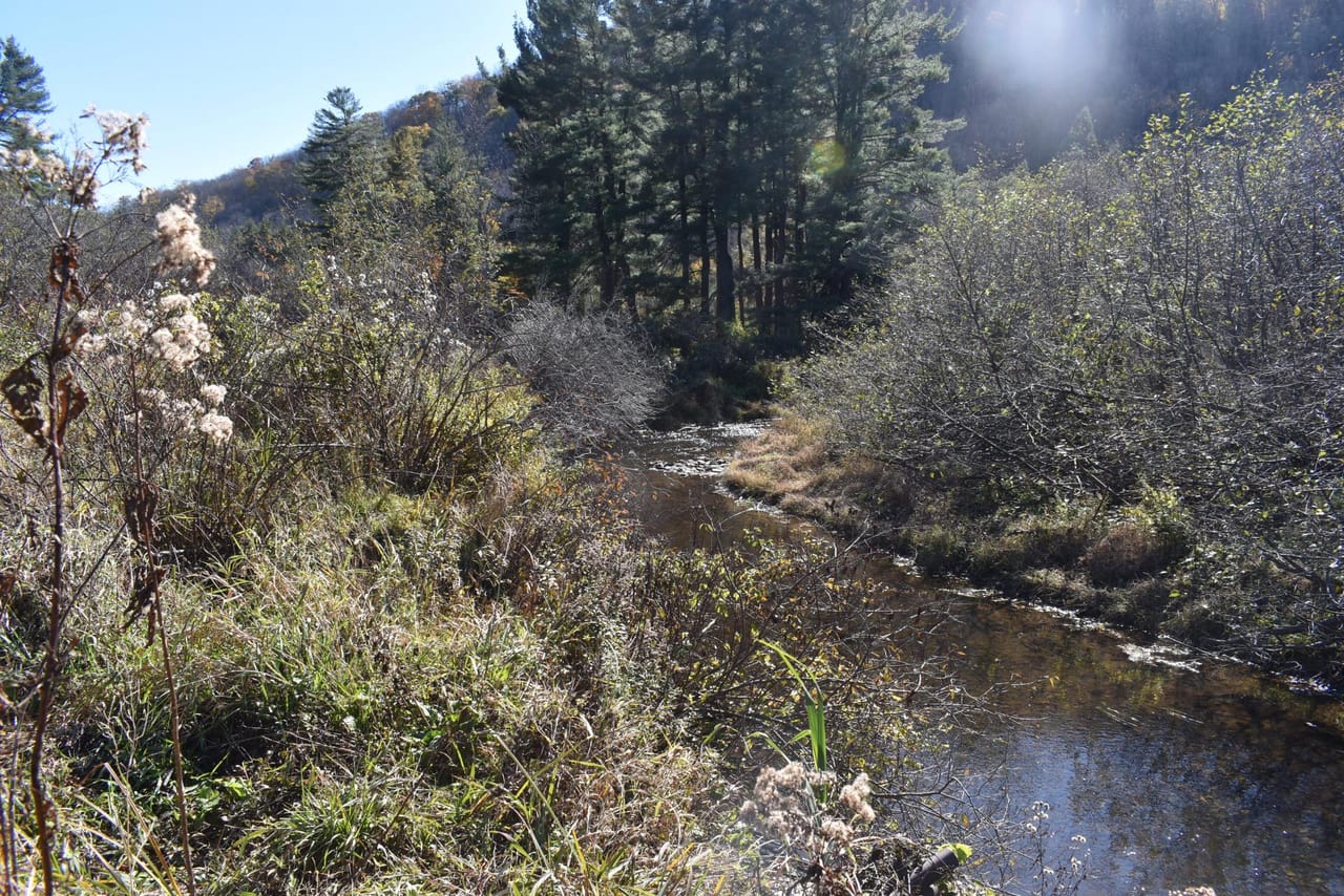 Honeoye Creek