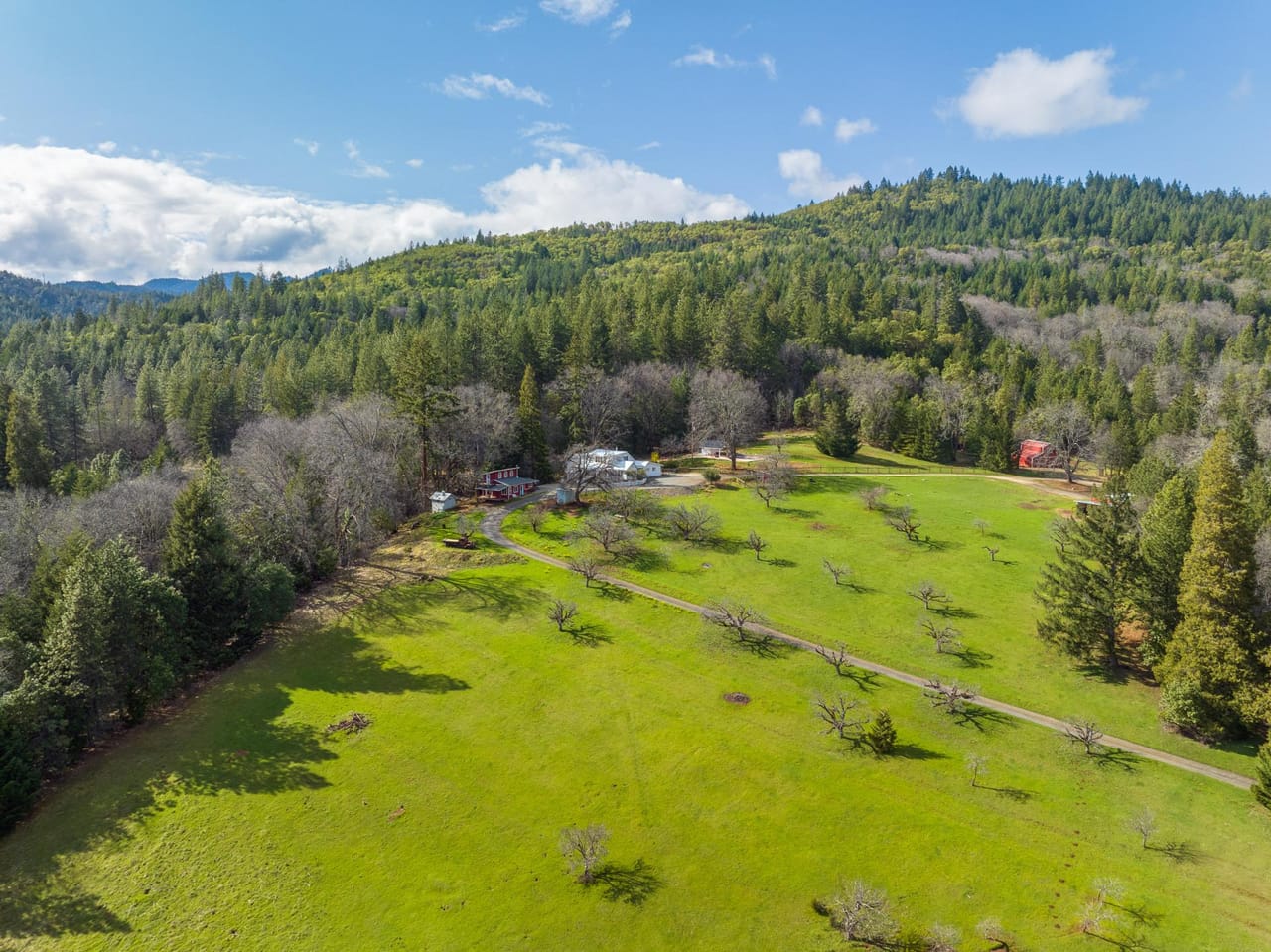 Listing Image 52