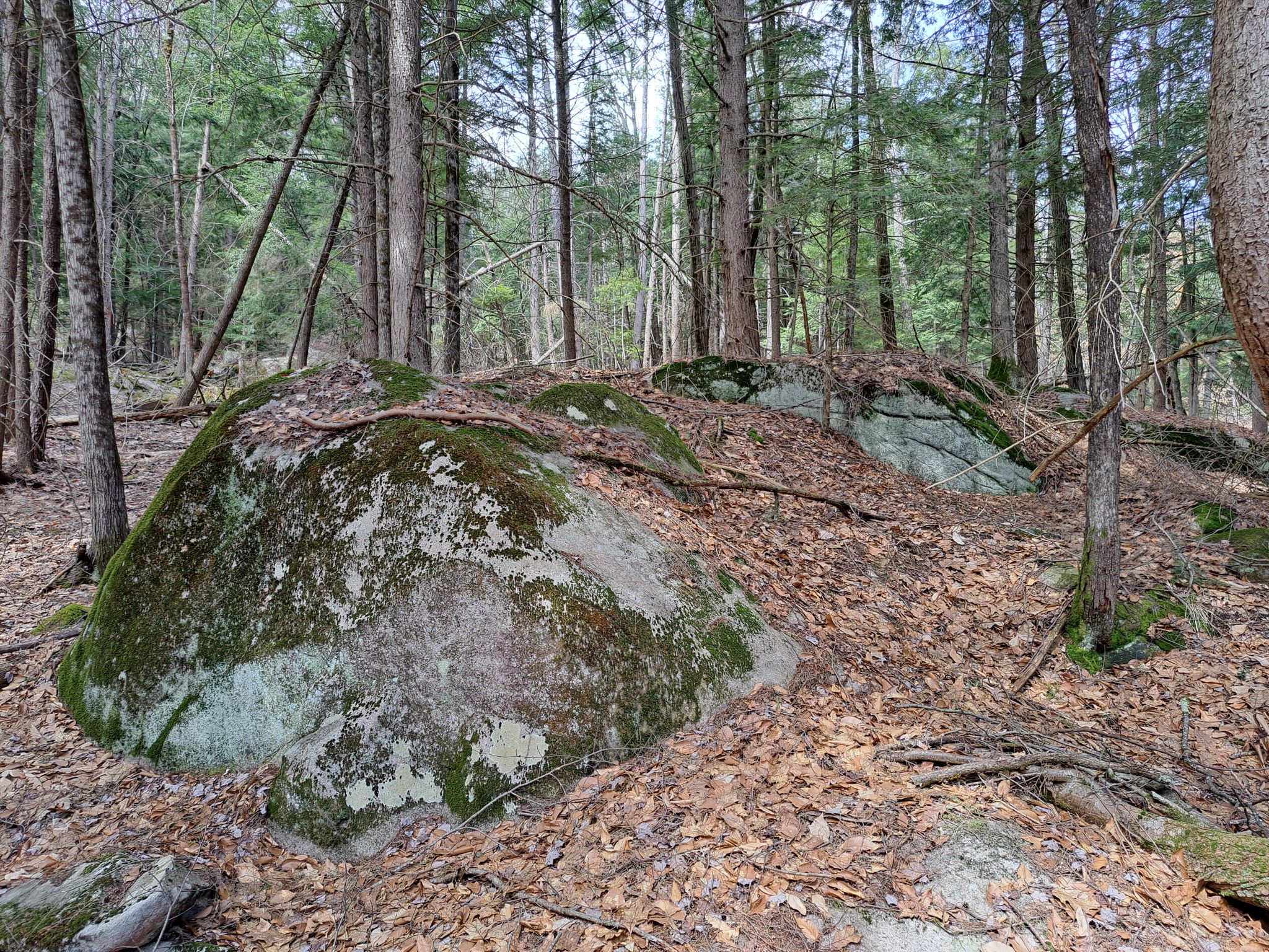 Listing Image 47