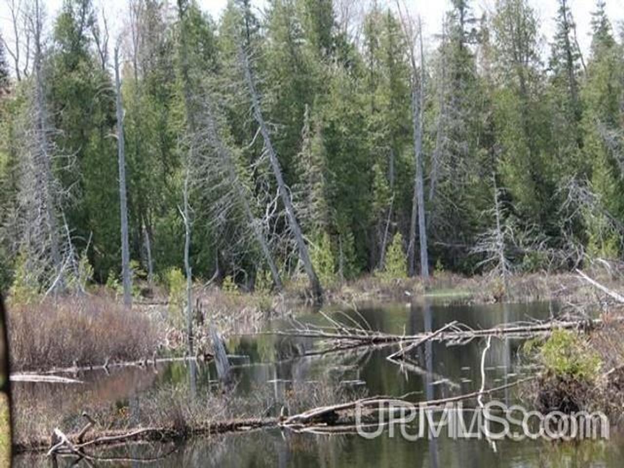 1777 Acres w/3 Lakes