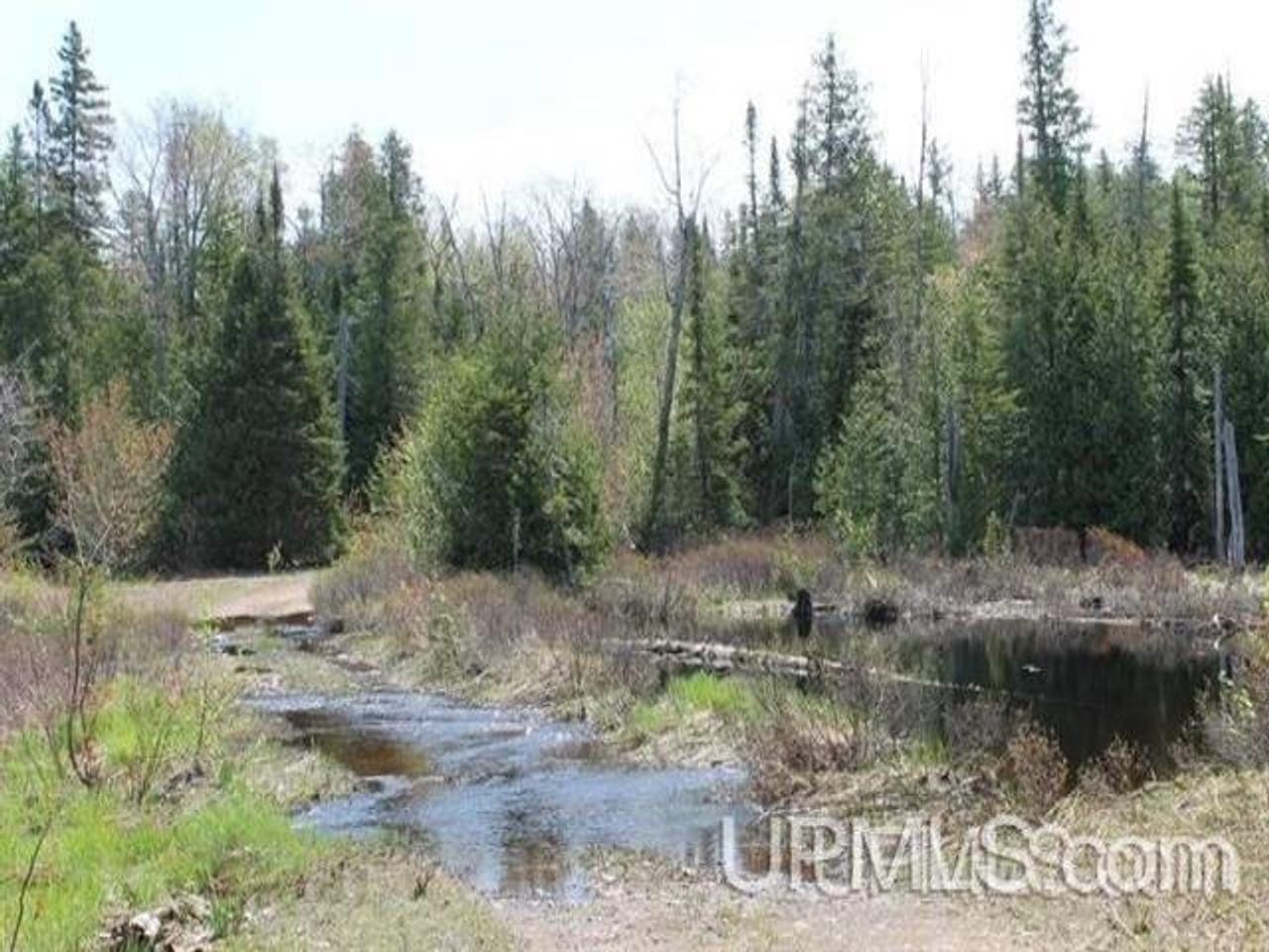 1777 Acres w/3 Lakes