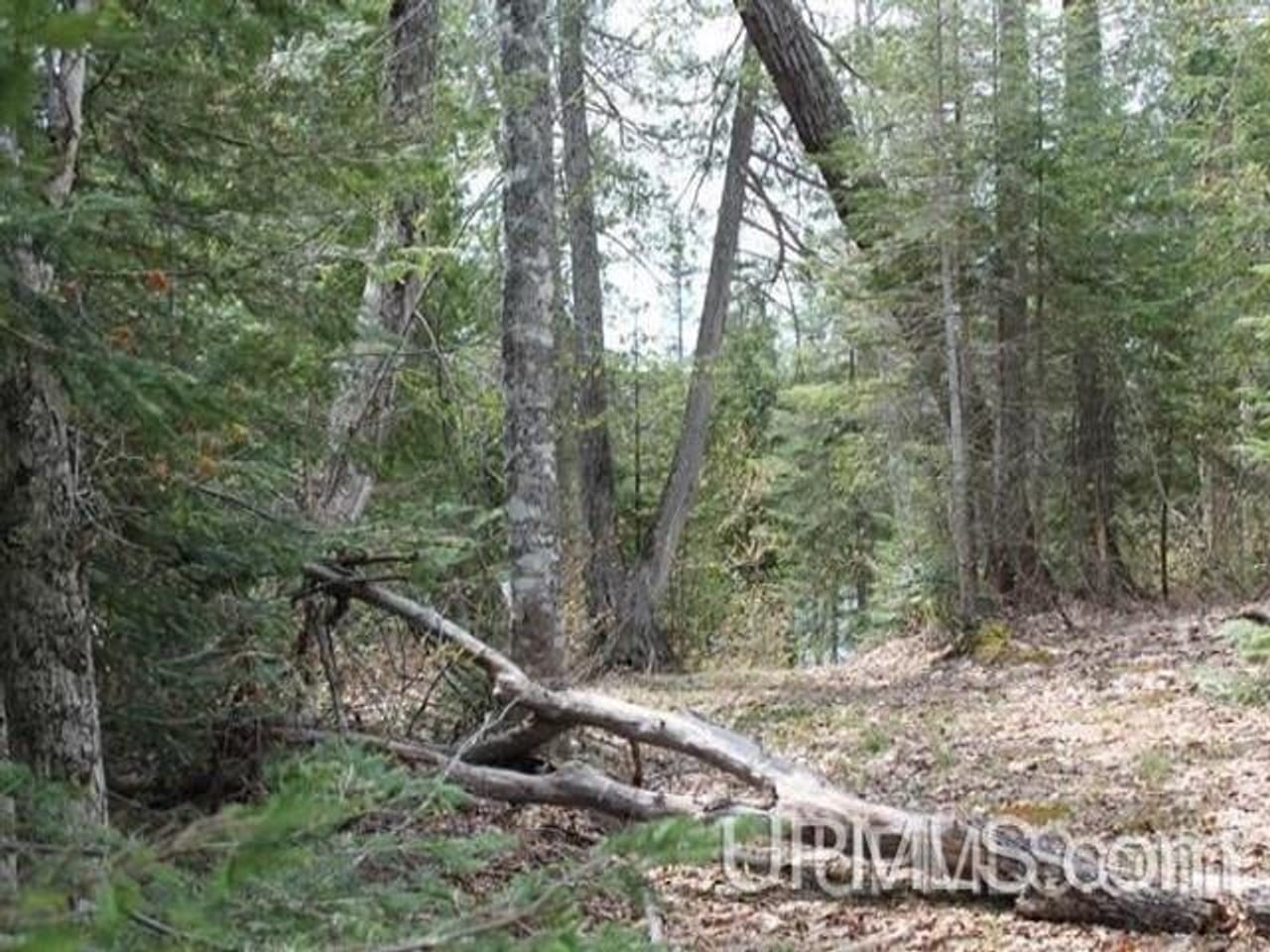 1777 Acres w/3 Lakes