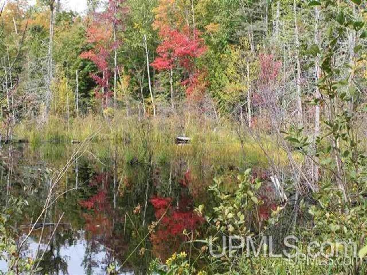 1777 Acres w/3 Lakes