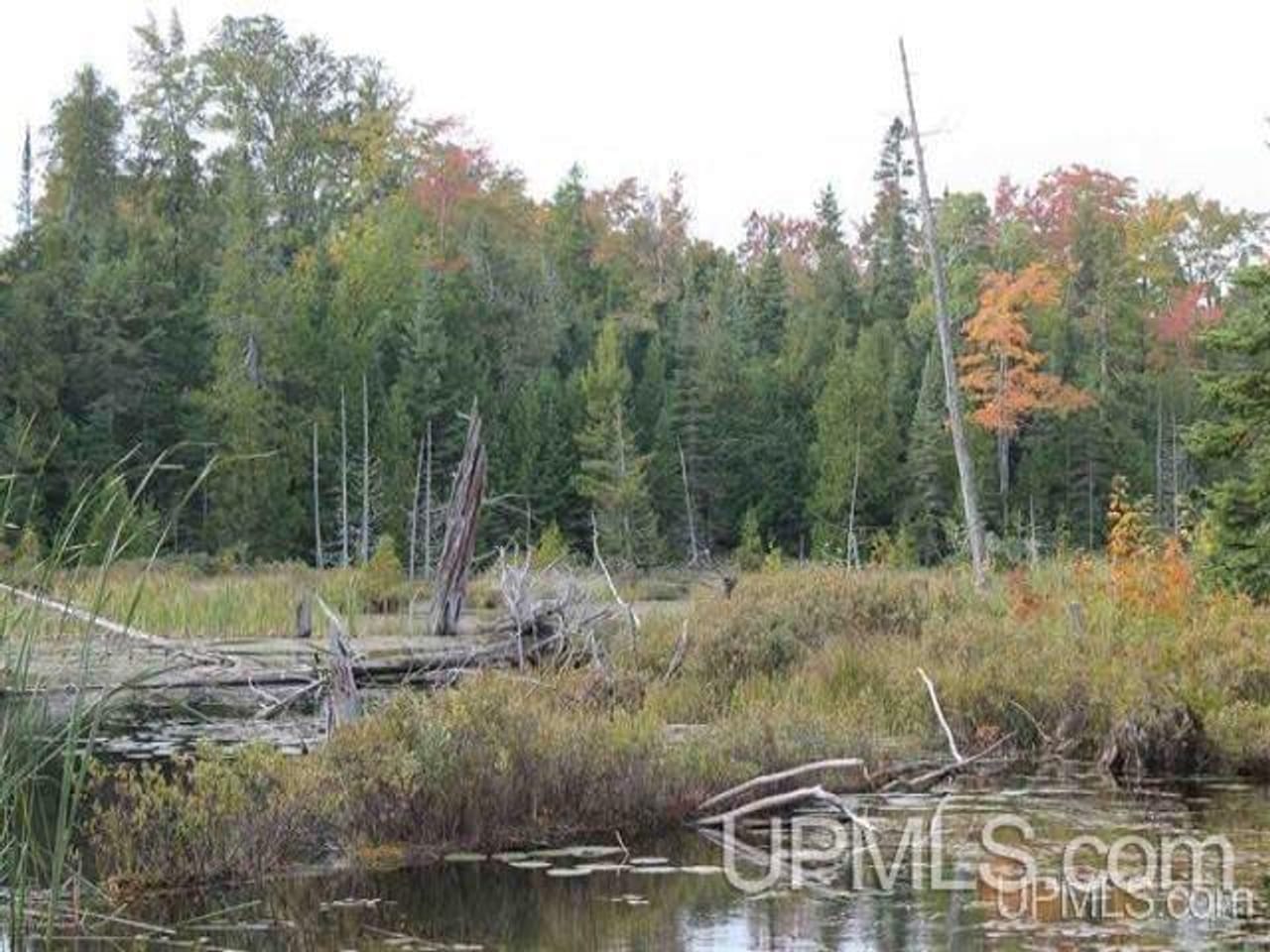 1777 Acres w/3 Lakes