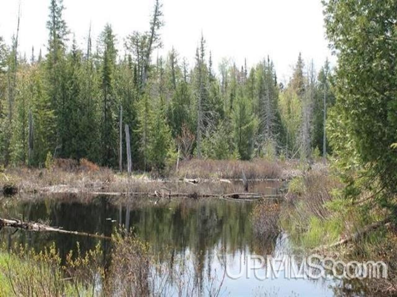 1777 Acres w/3 Lakes