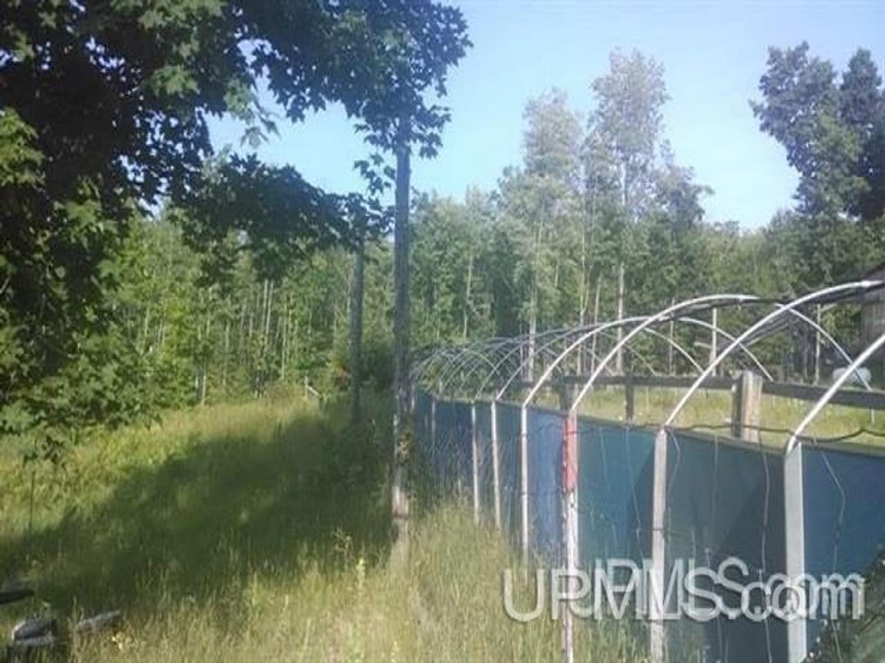 Off the Grid 80 Acre Farm 50106373