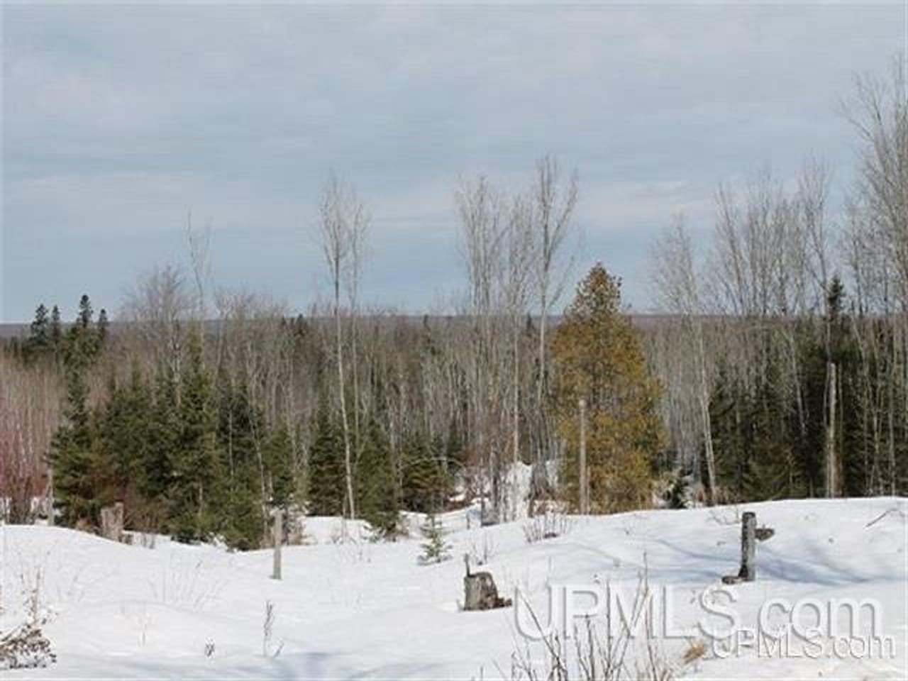 Off the Grid 80 Acre Farm 50106373