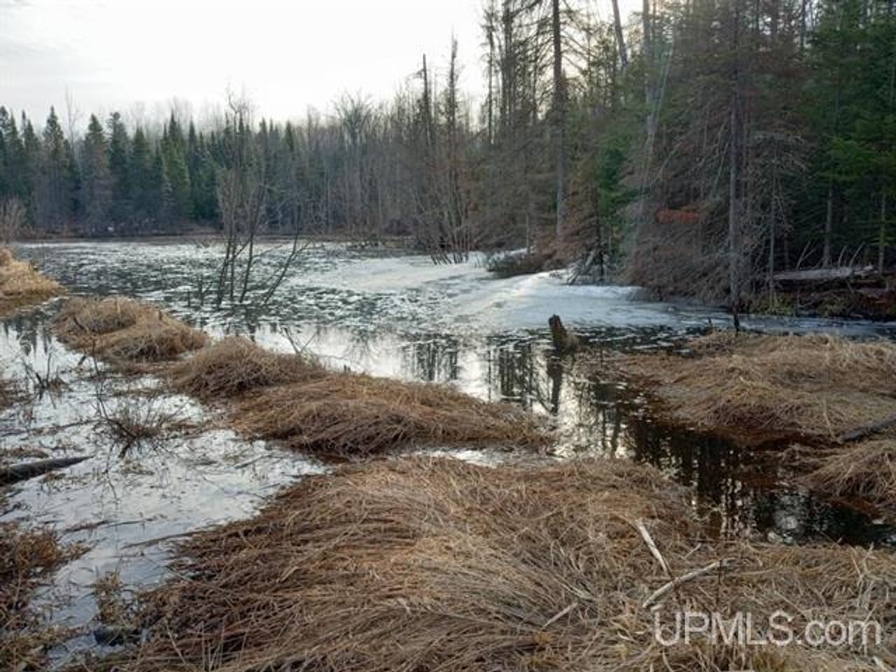 Off the Grid 80 Acre Farm 50106373