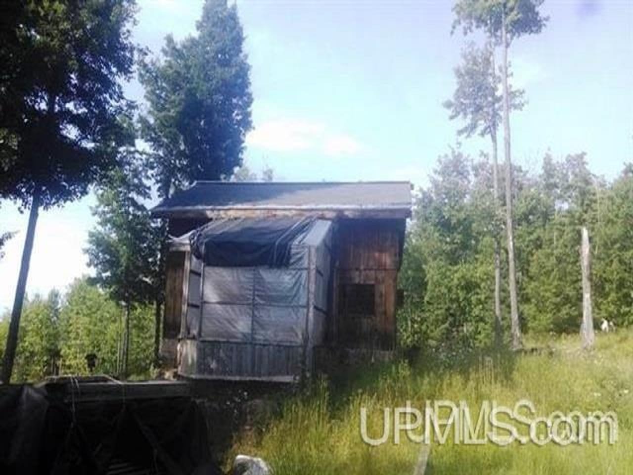Off the Grid 80 Acre Farm 50106373