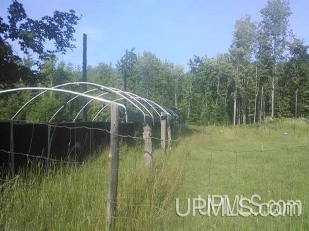 Off the Grid 80 Acre Farm 50106373
