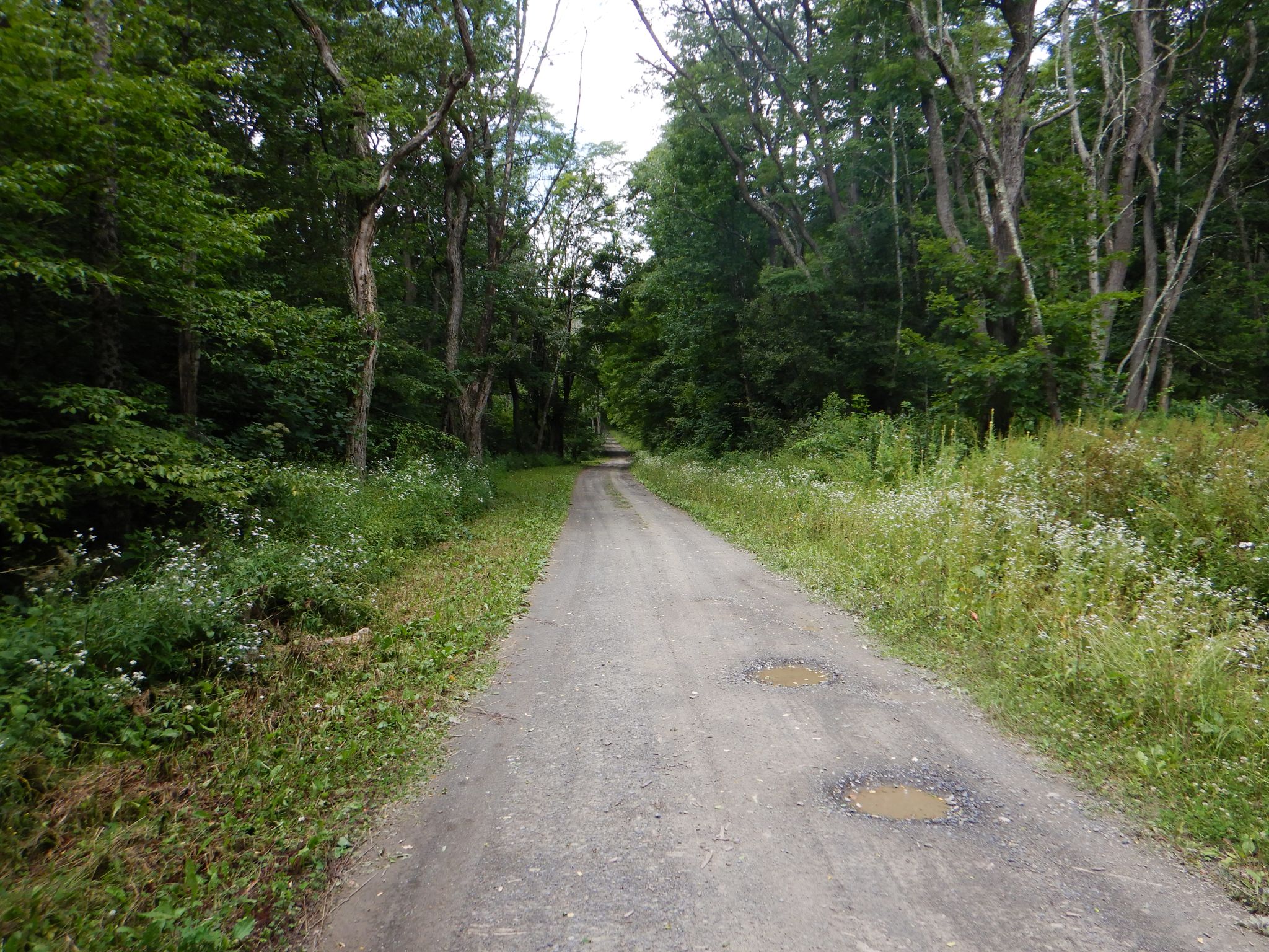 Chaffee Creek