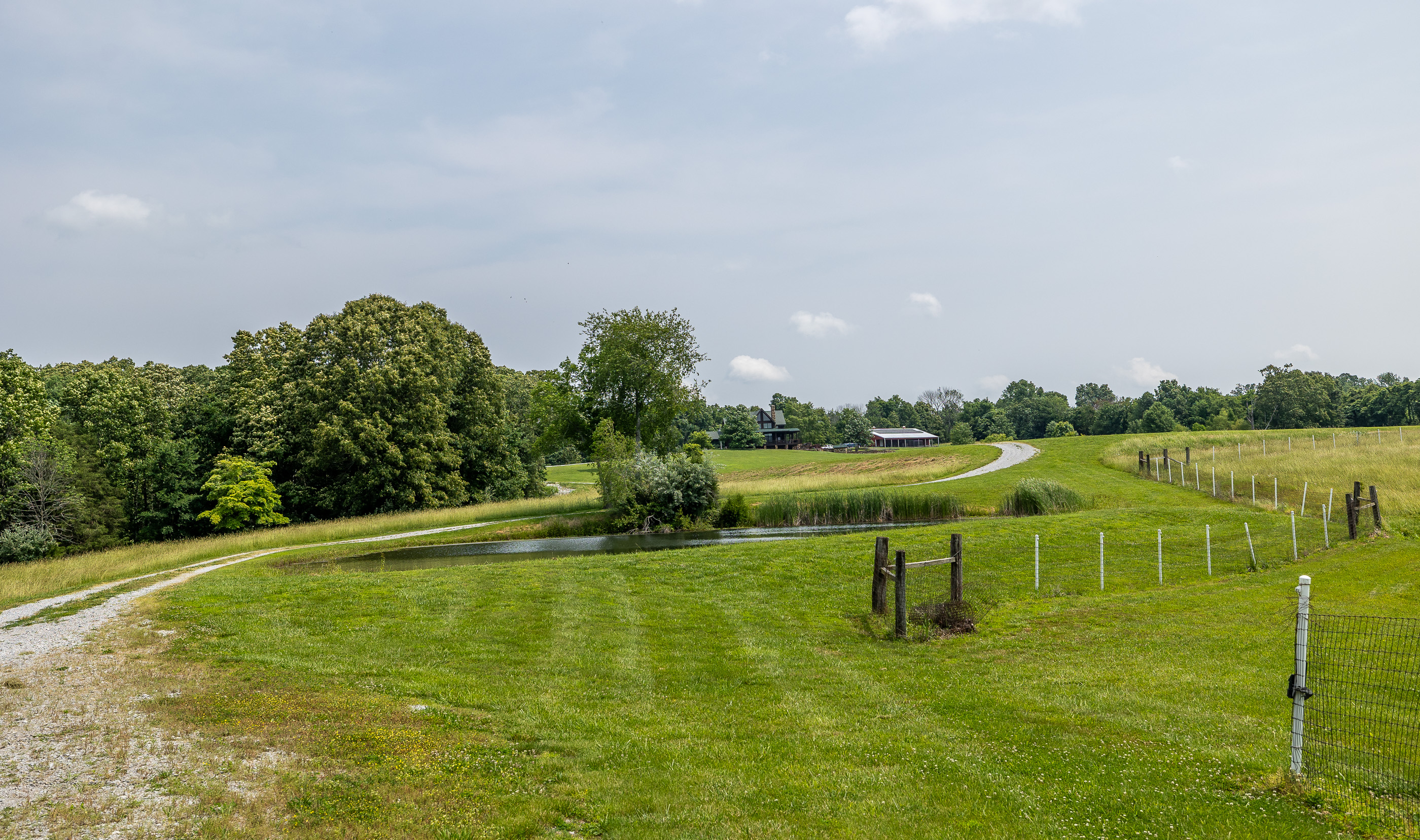 Listing Image 84