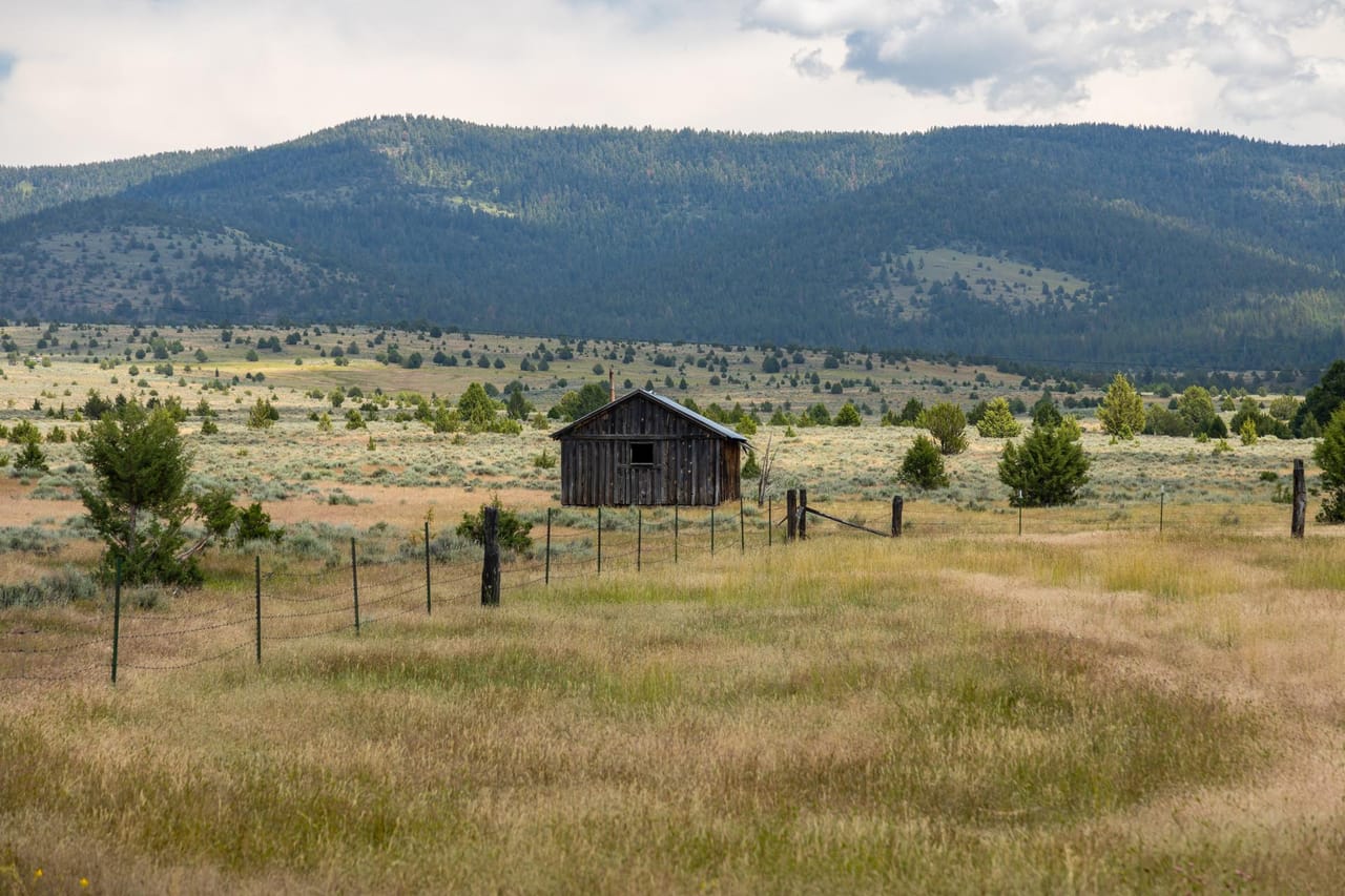 Listing Image 82