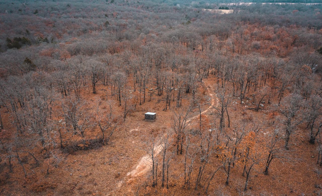 Listing Image 4