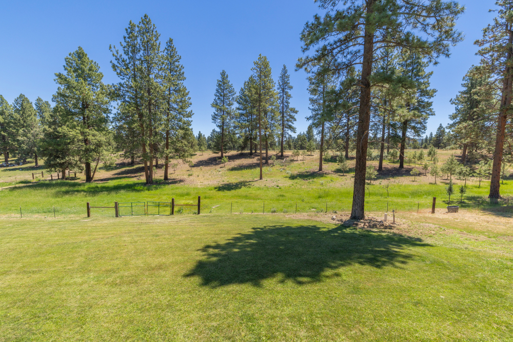 Listing Image 86