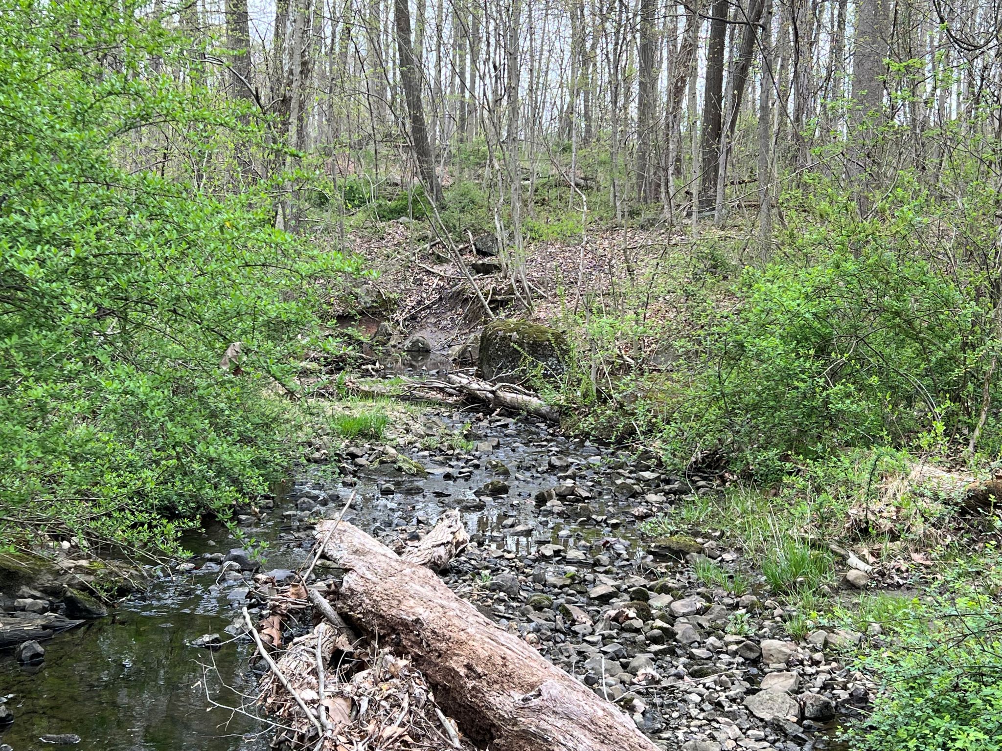Etown Woodlands