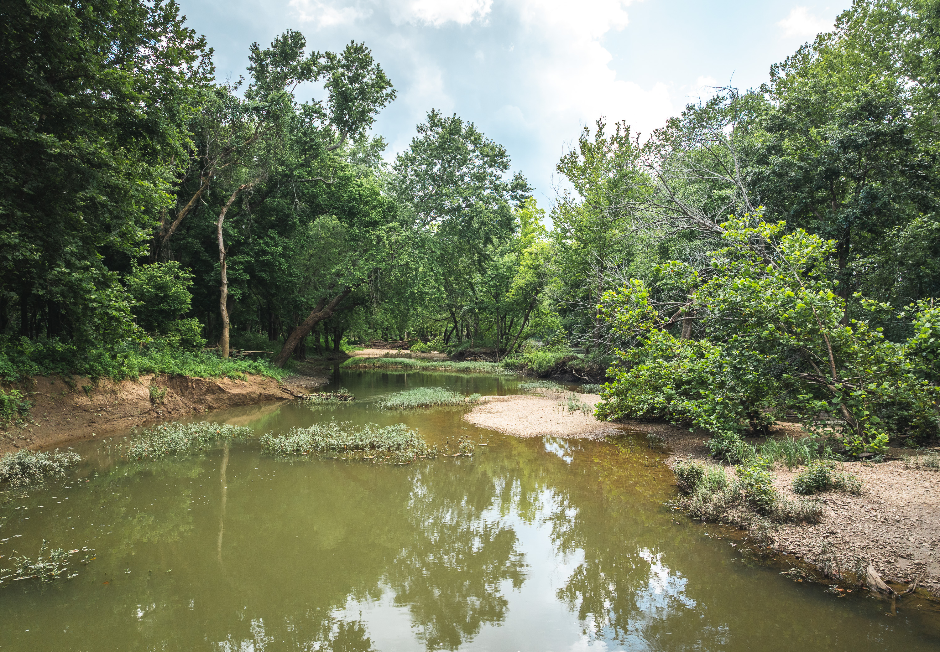 Gasconade Angus Ranch