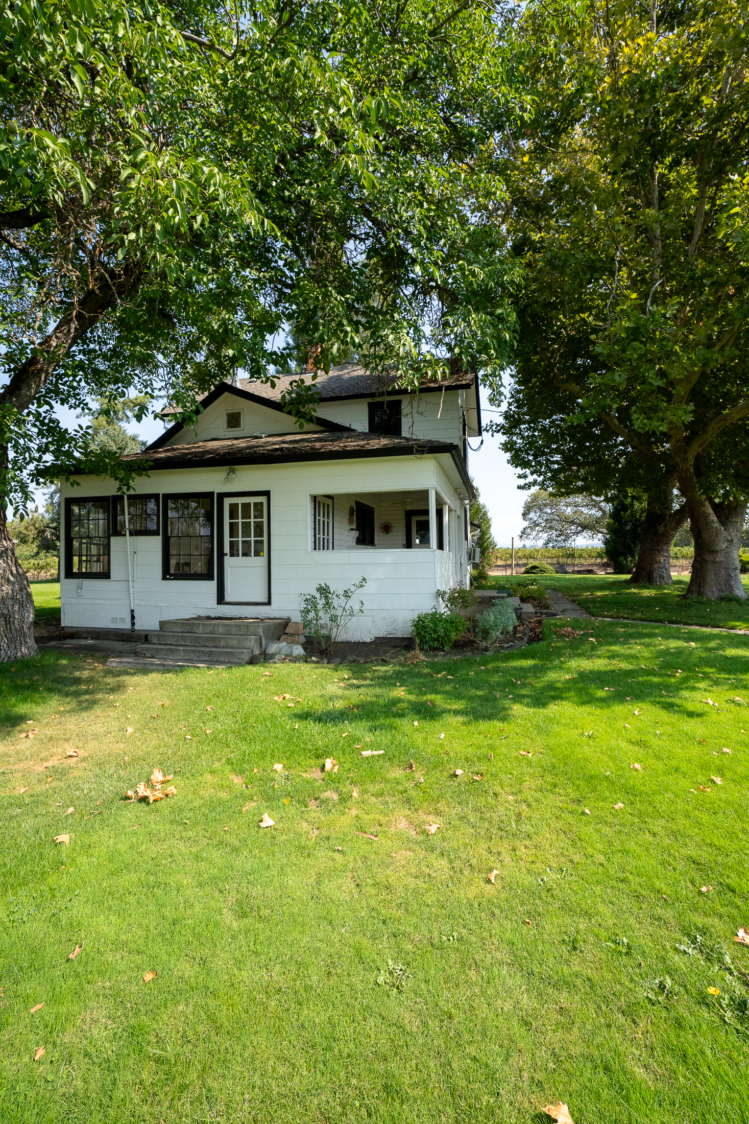 Listing Image 64
