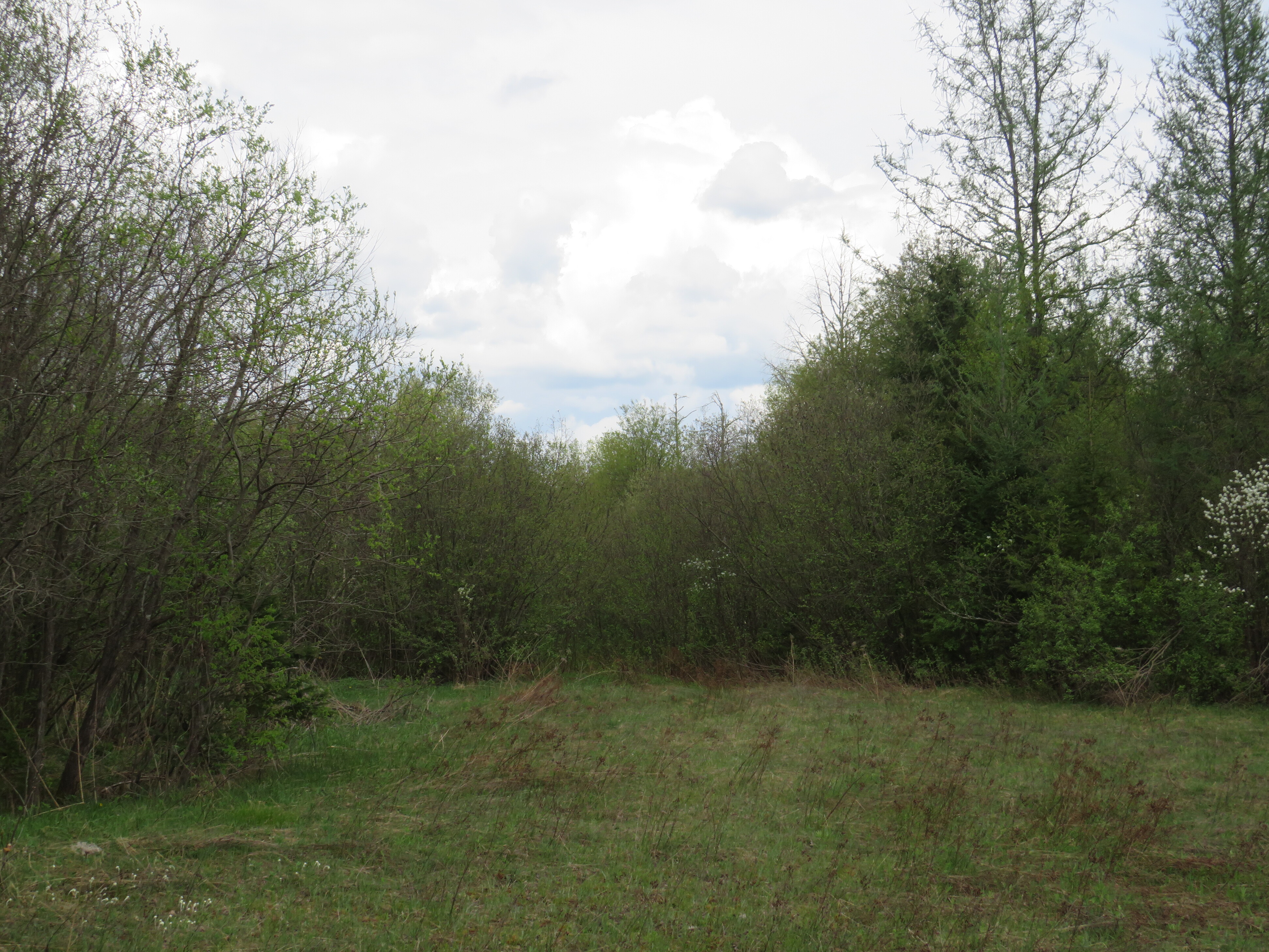 160 Acre Wilderness Retreat 50175391