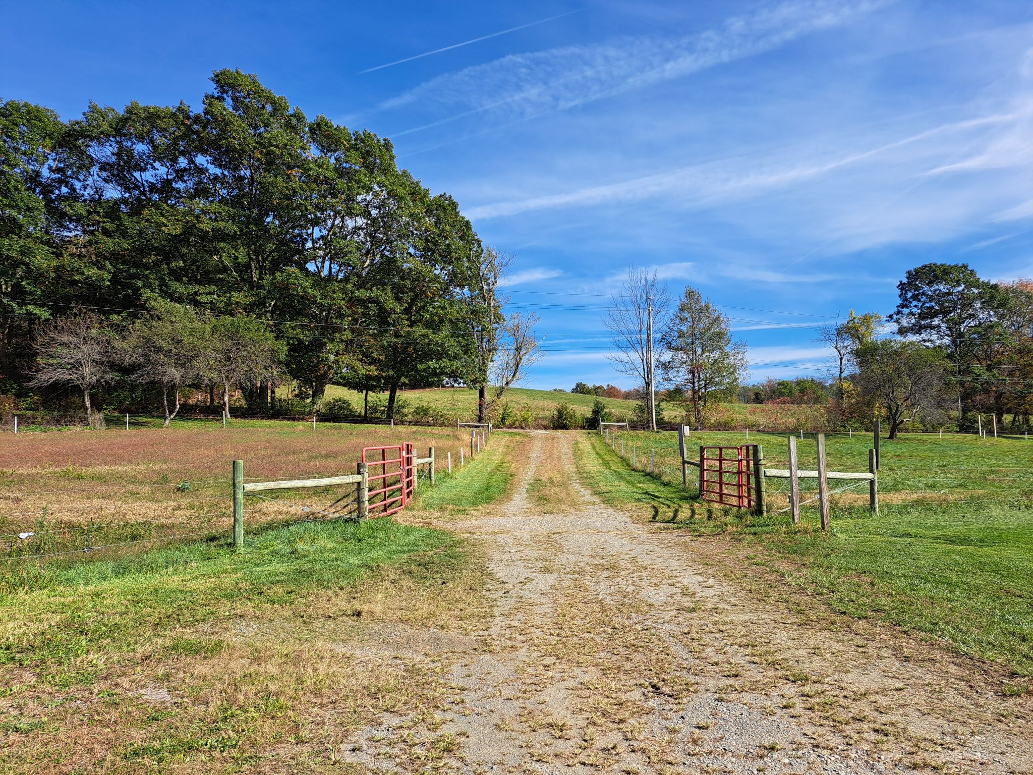 Listing Image 79