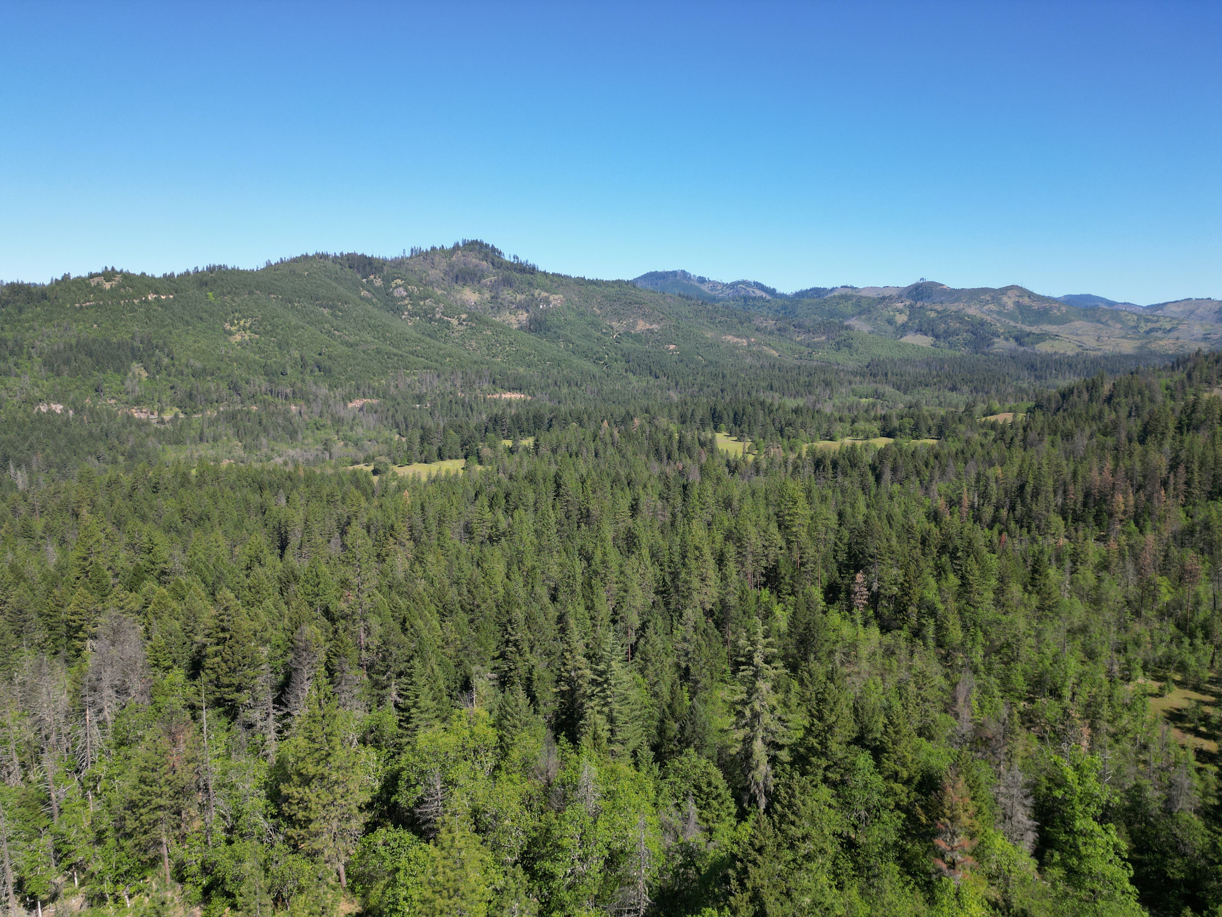 Elk Creek Road TL 2205