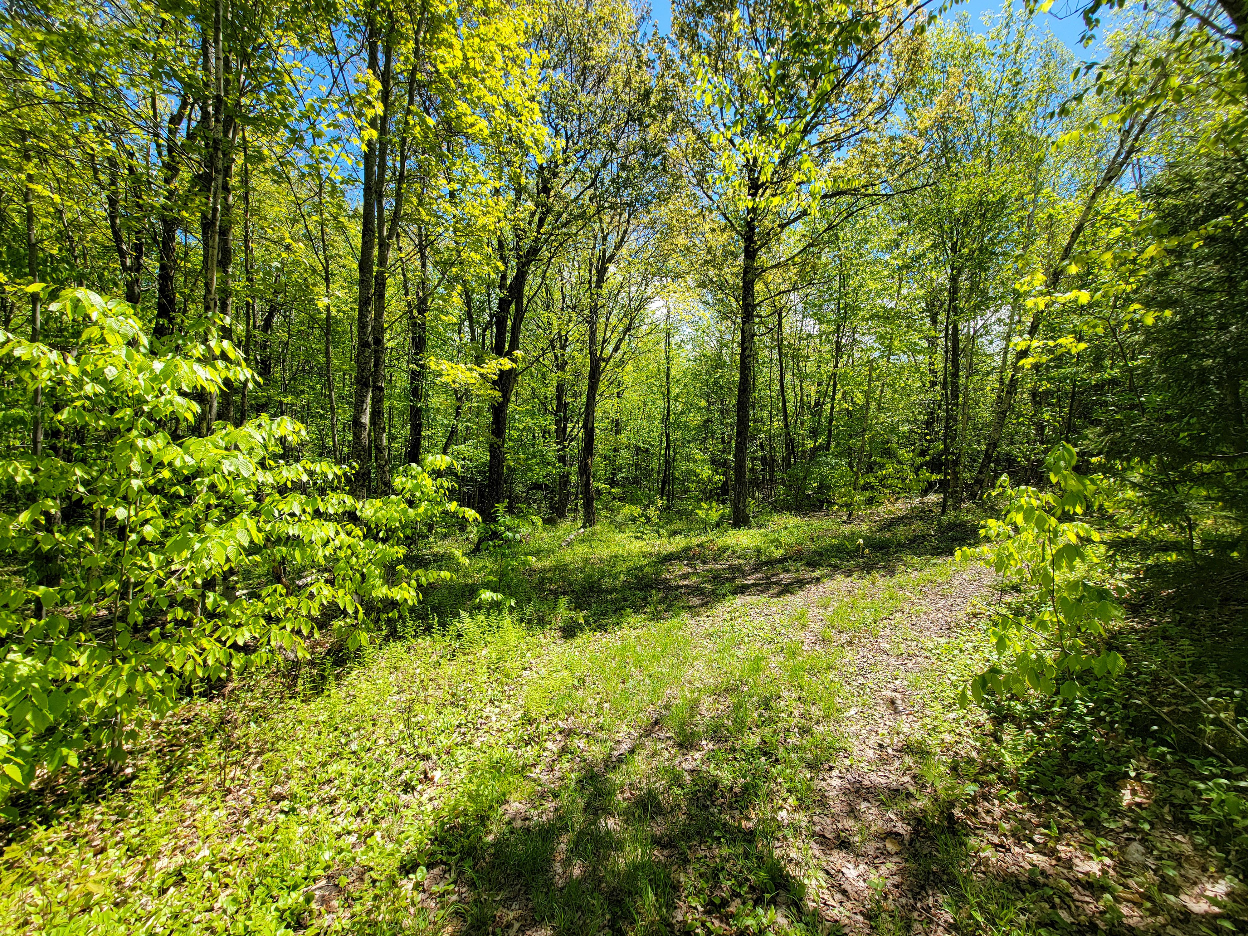 925 Hathaway Rd - Goshen