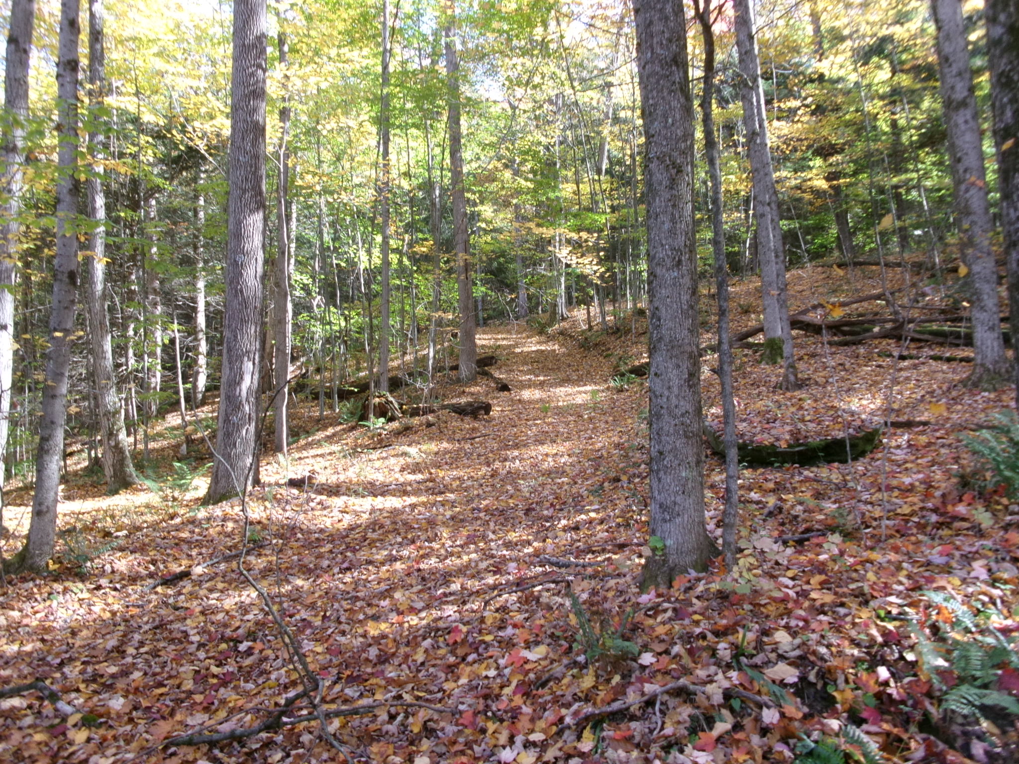 Listing Image 14