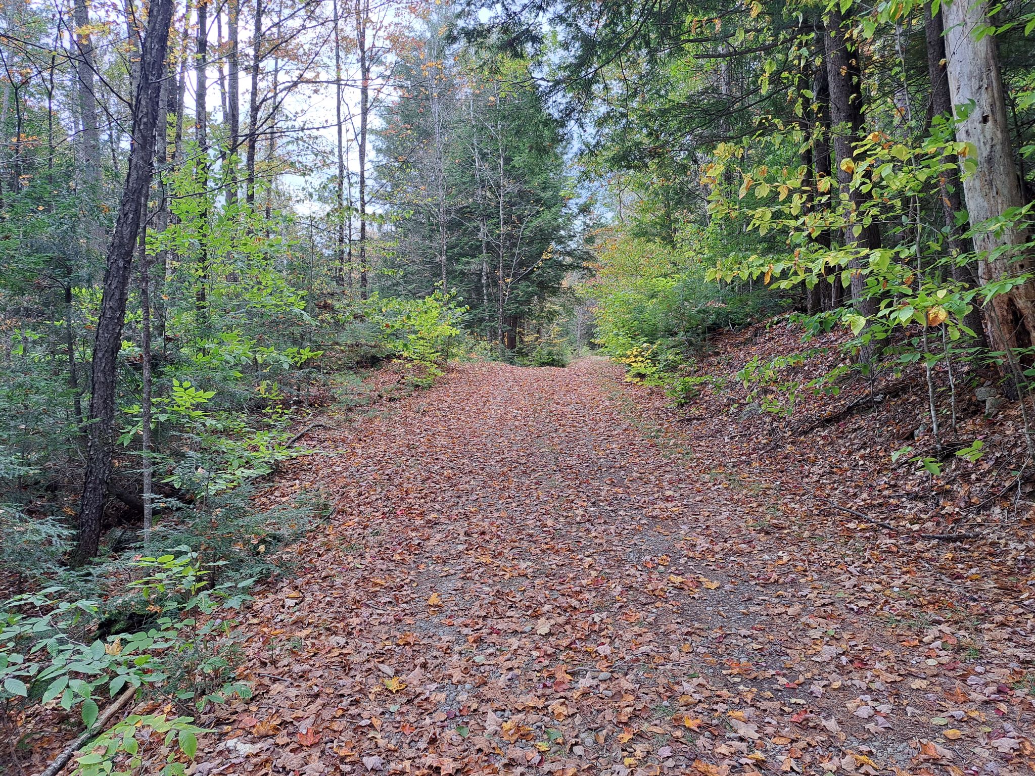 Hudson River Woods & Water