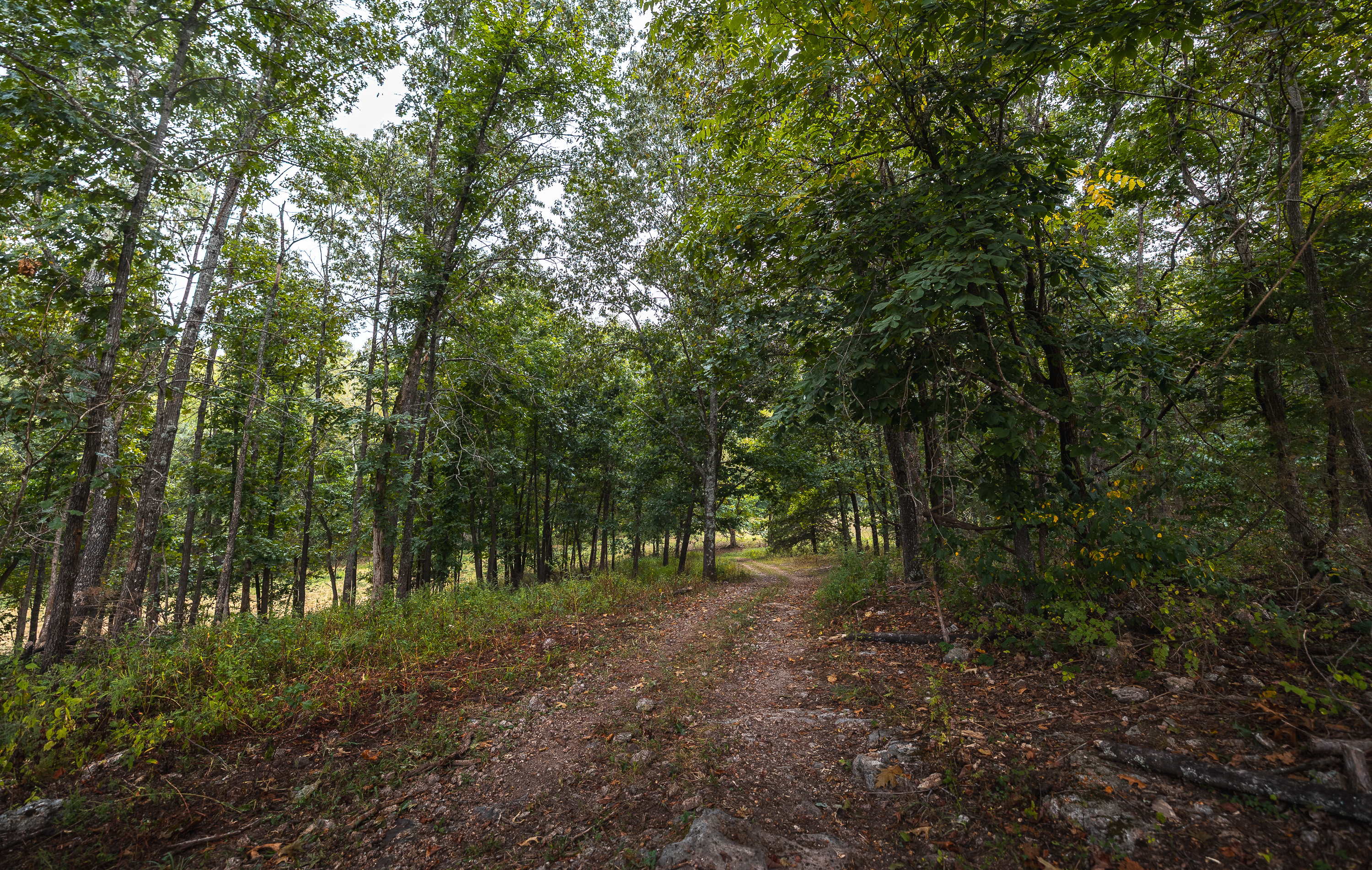 Twin Creek Farm