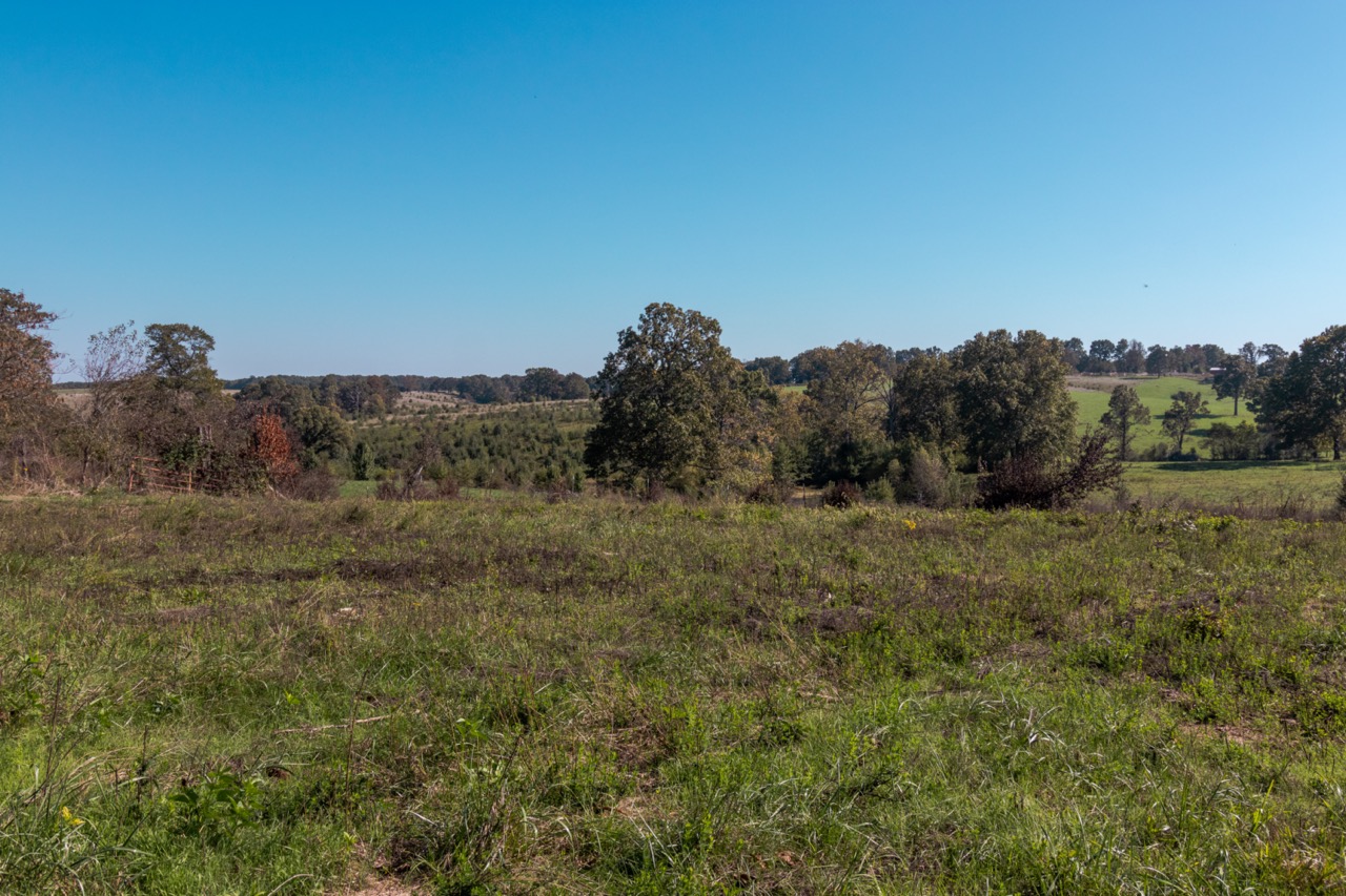 Listing Image 47