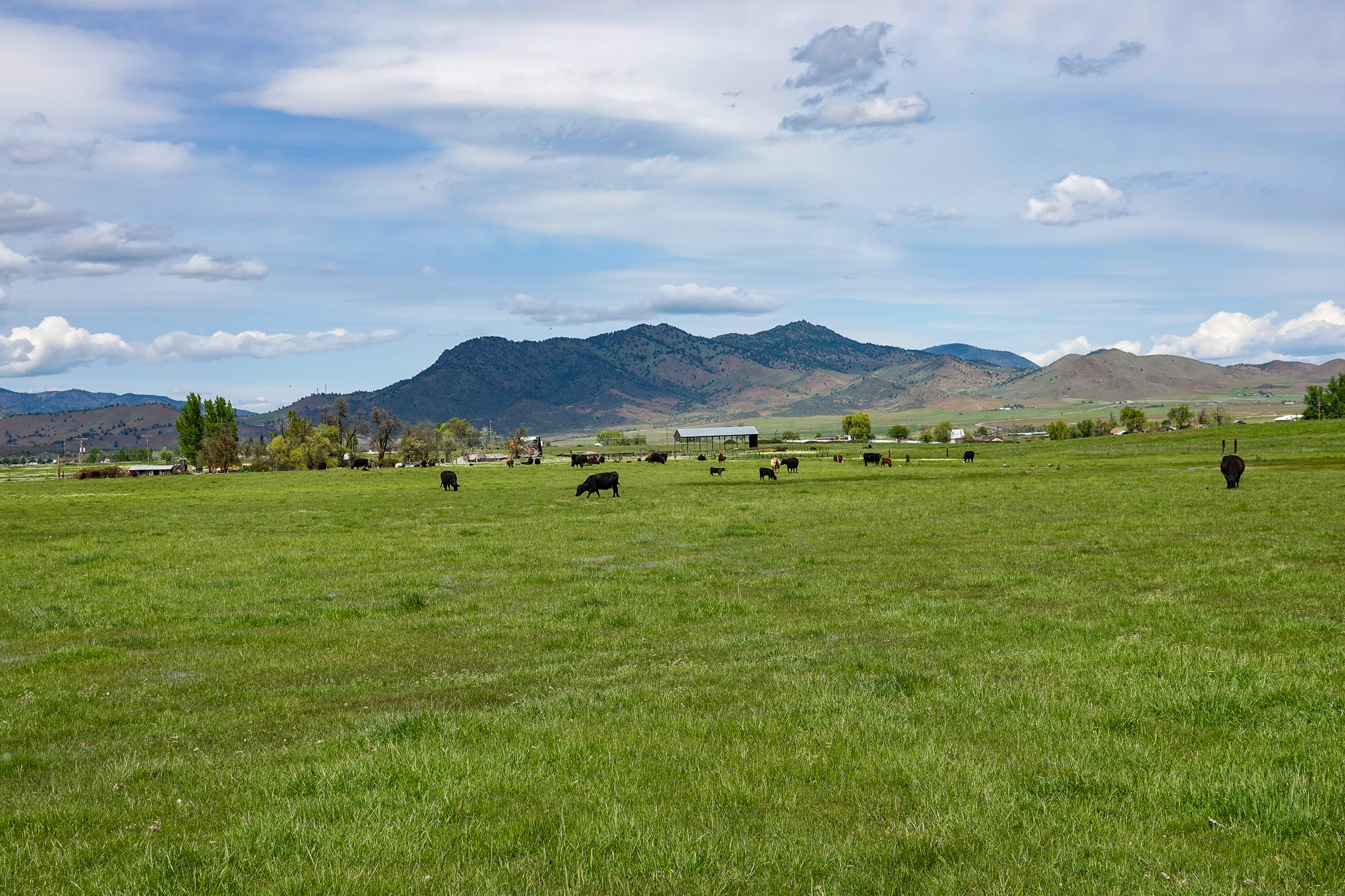 Lorenzini Ranch