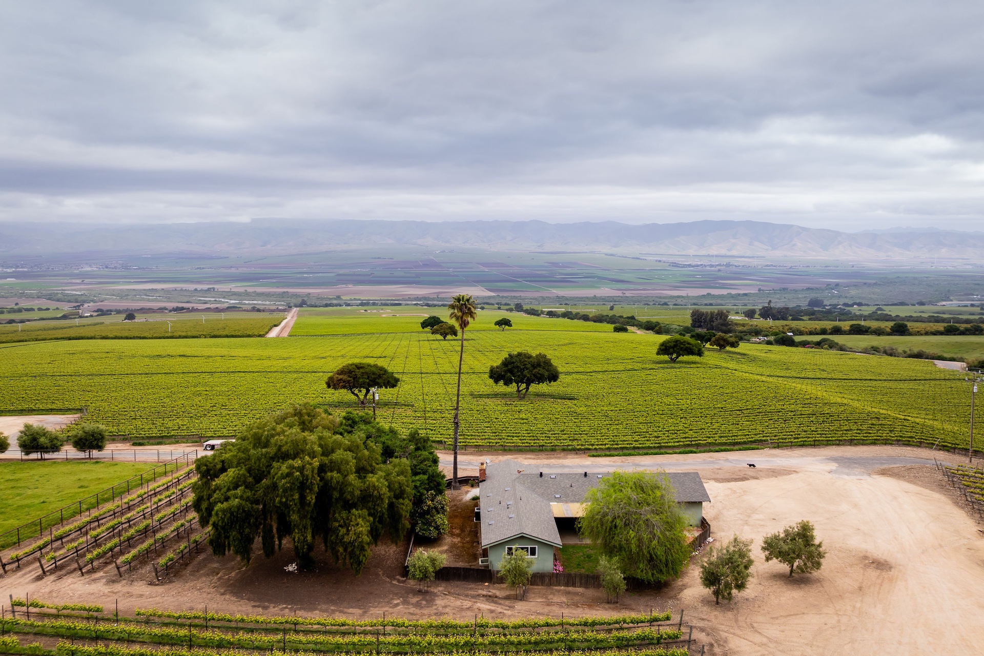 Boekenoogen Santa Lucia Highlands Vineyard