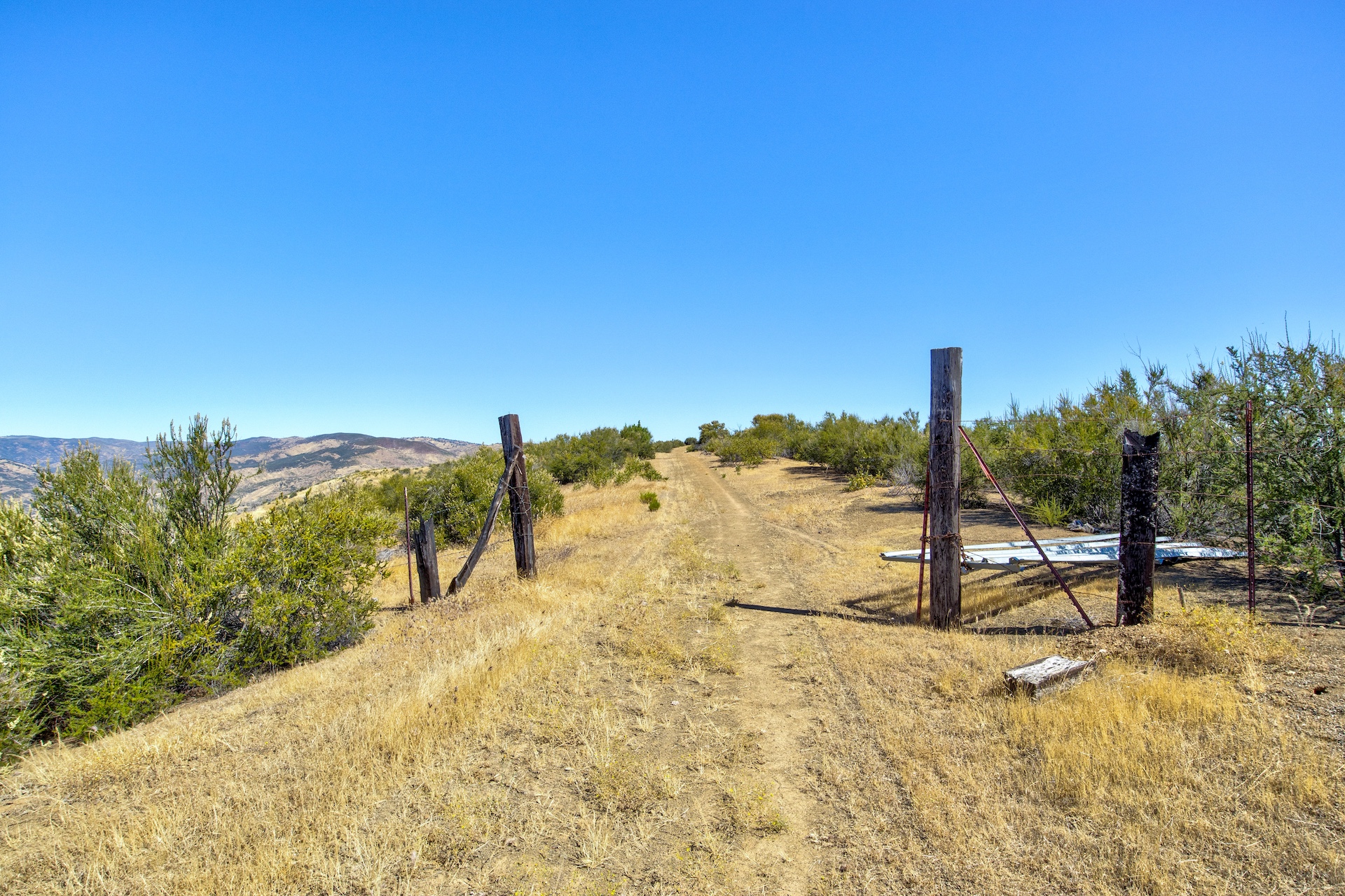 Old Iron Gate Ranch