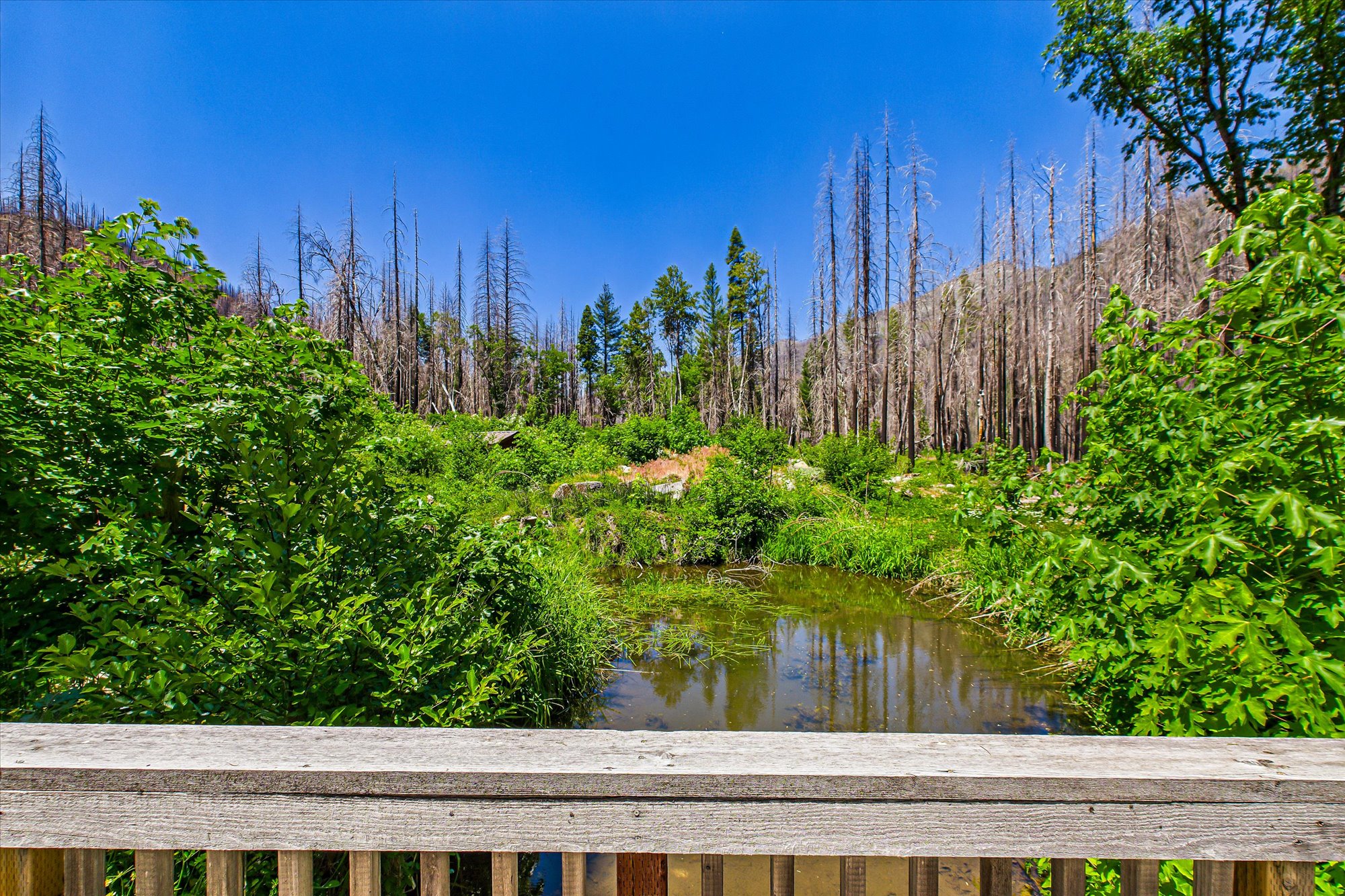 Almay Ranch