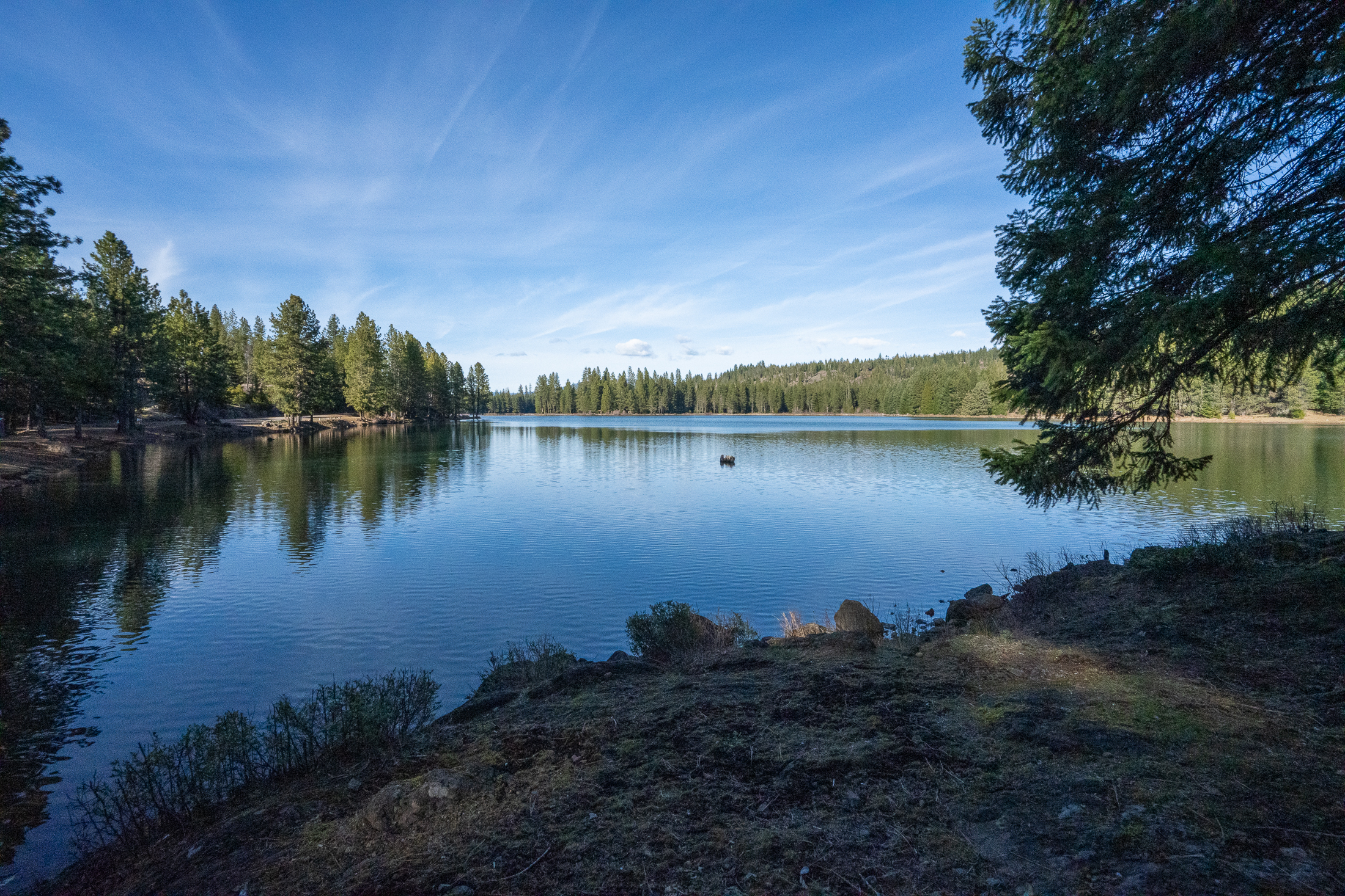 Medco Pond- Recreational Retreat