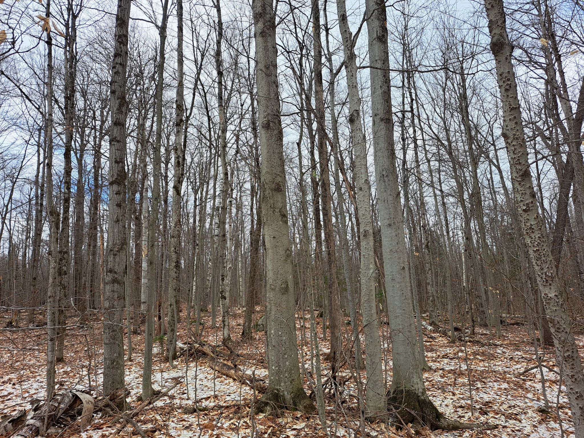 Listing Image 33