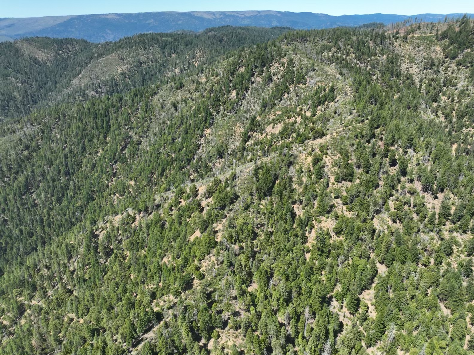 160 Acres Hyampom