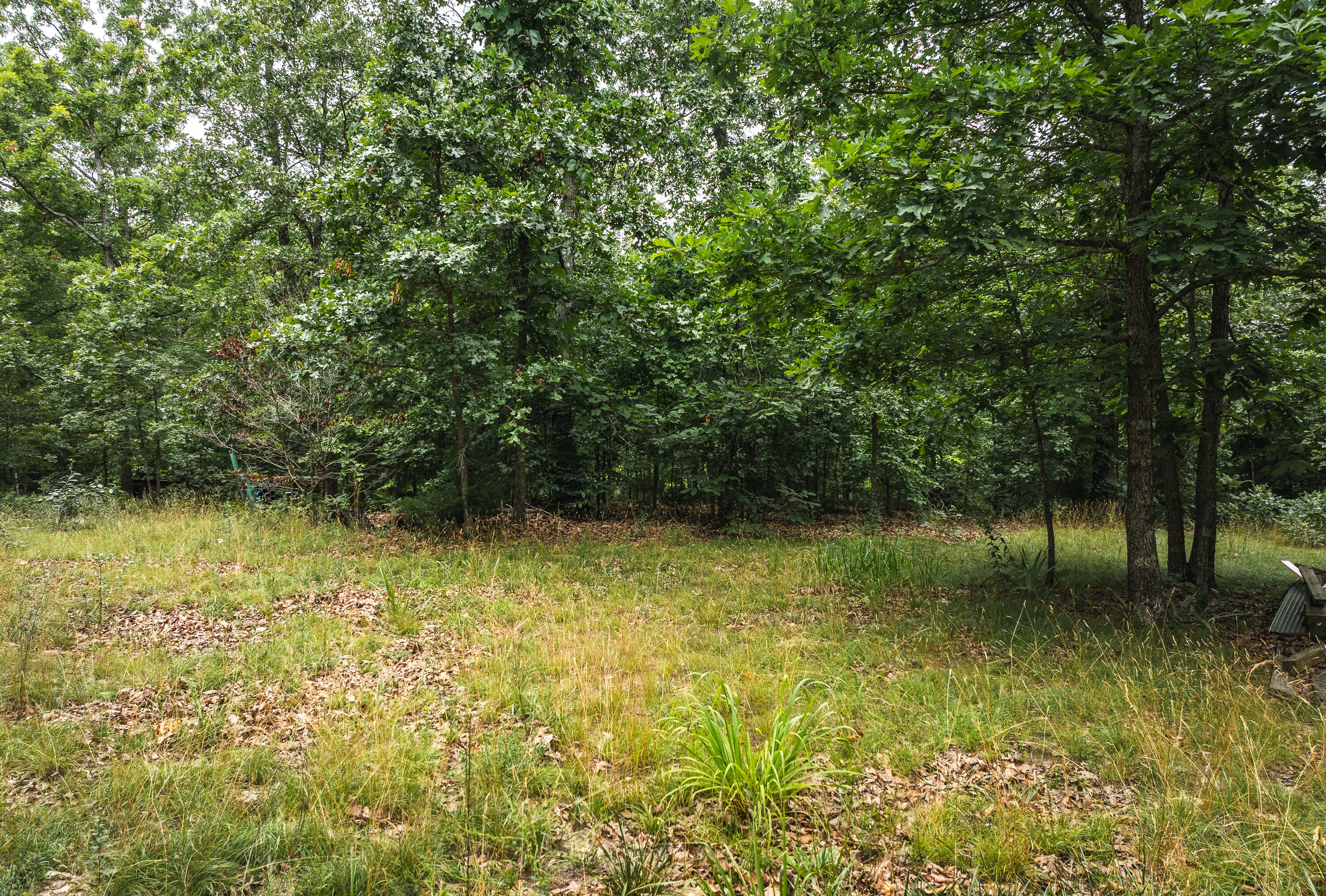 Phelps County Land & Timber 2 Tracts