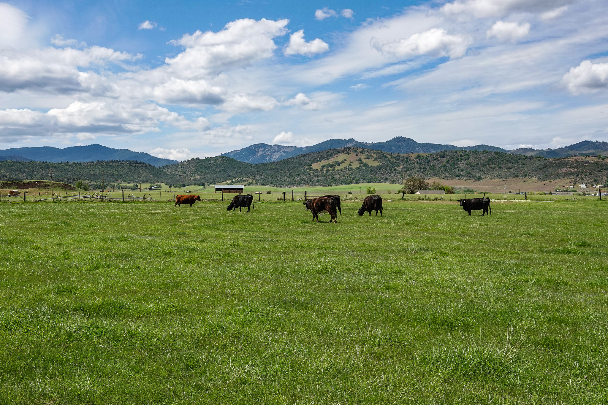 Lorenzini Ranch